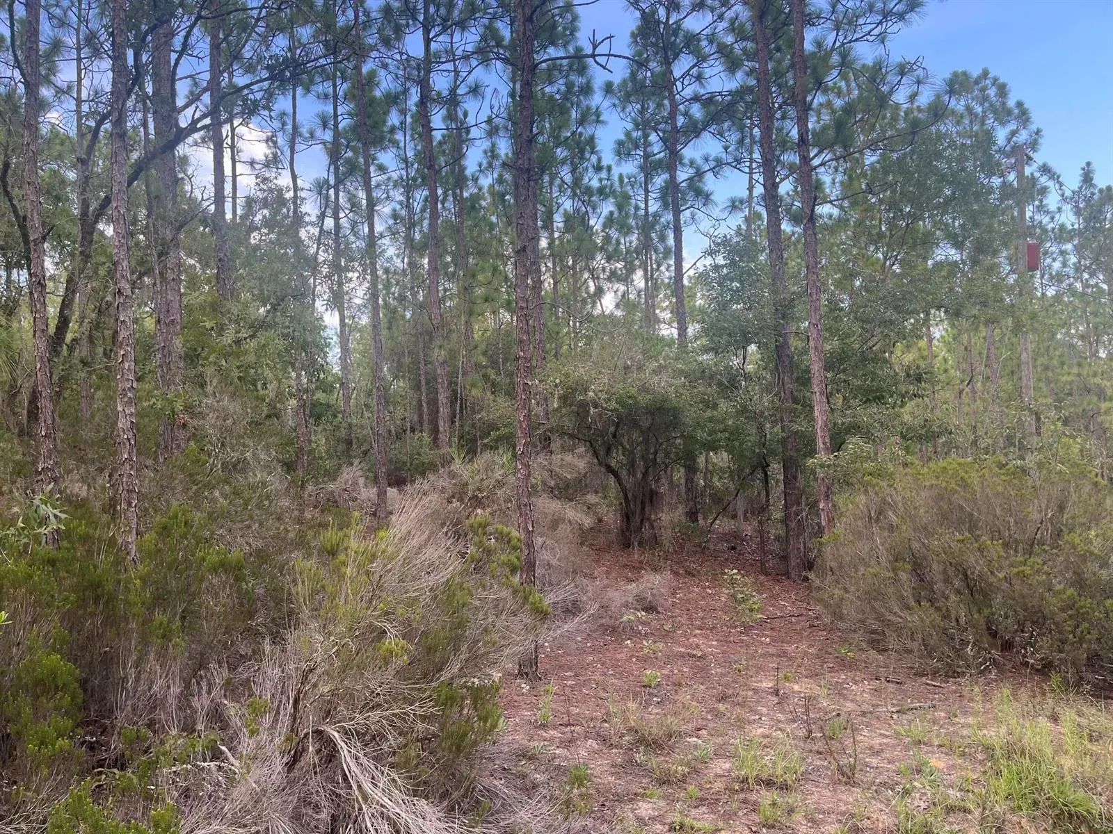 124 New York Avenue, FL 32148