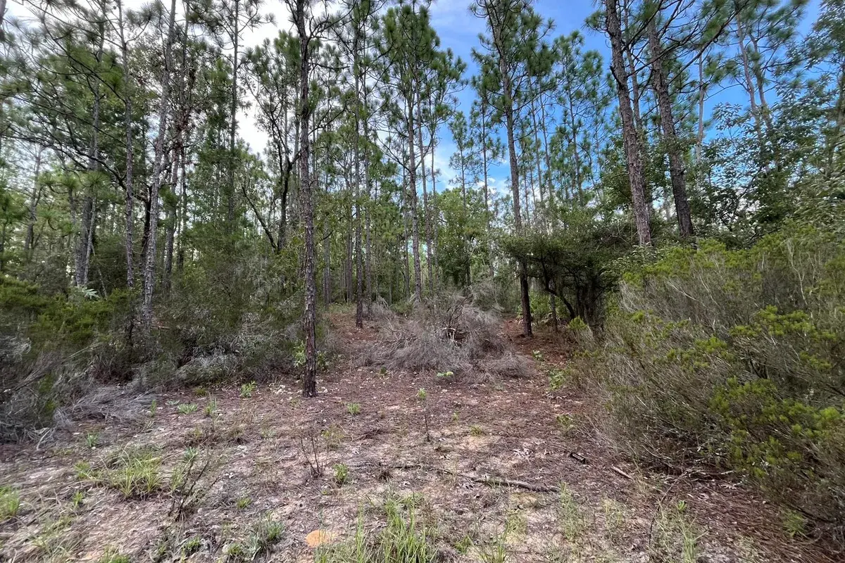 124 New York Avenue, FL 32148