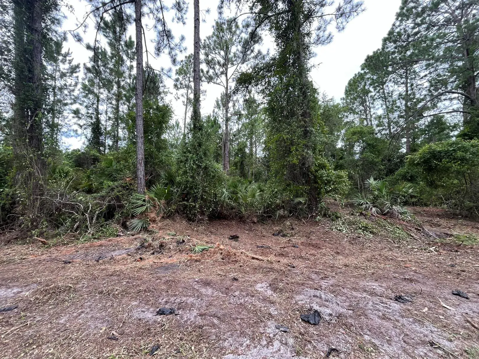 Land/Boat Docks for sale at 147 Roebuck Street, FL 32139