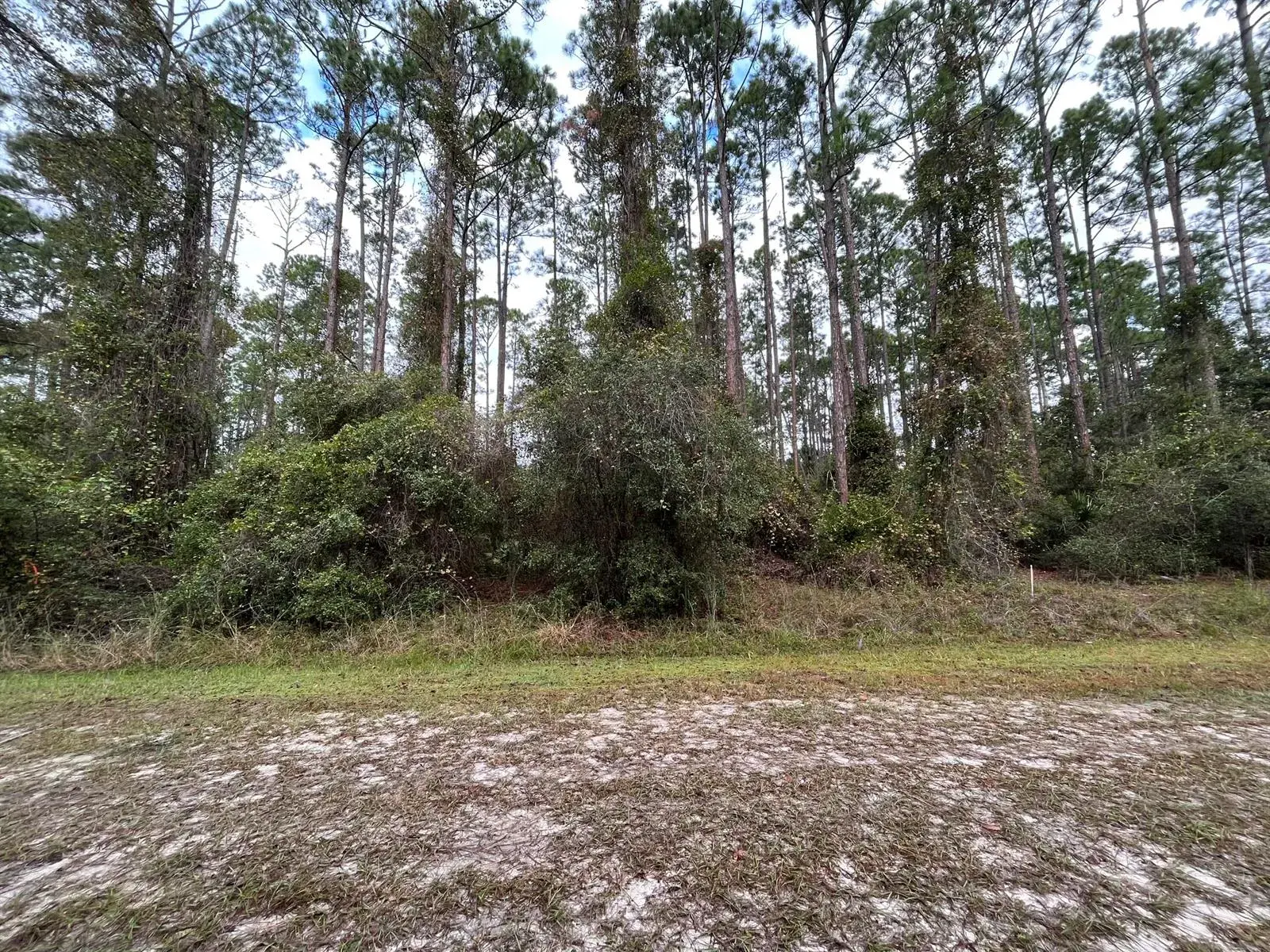 Land/Boat Docks for sale at 108 SE 5th Street, FL 32139