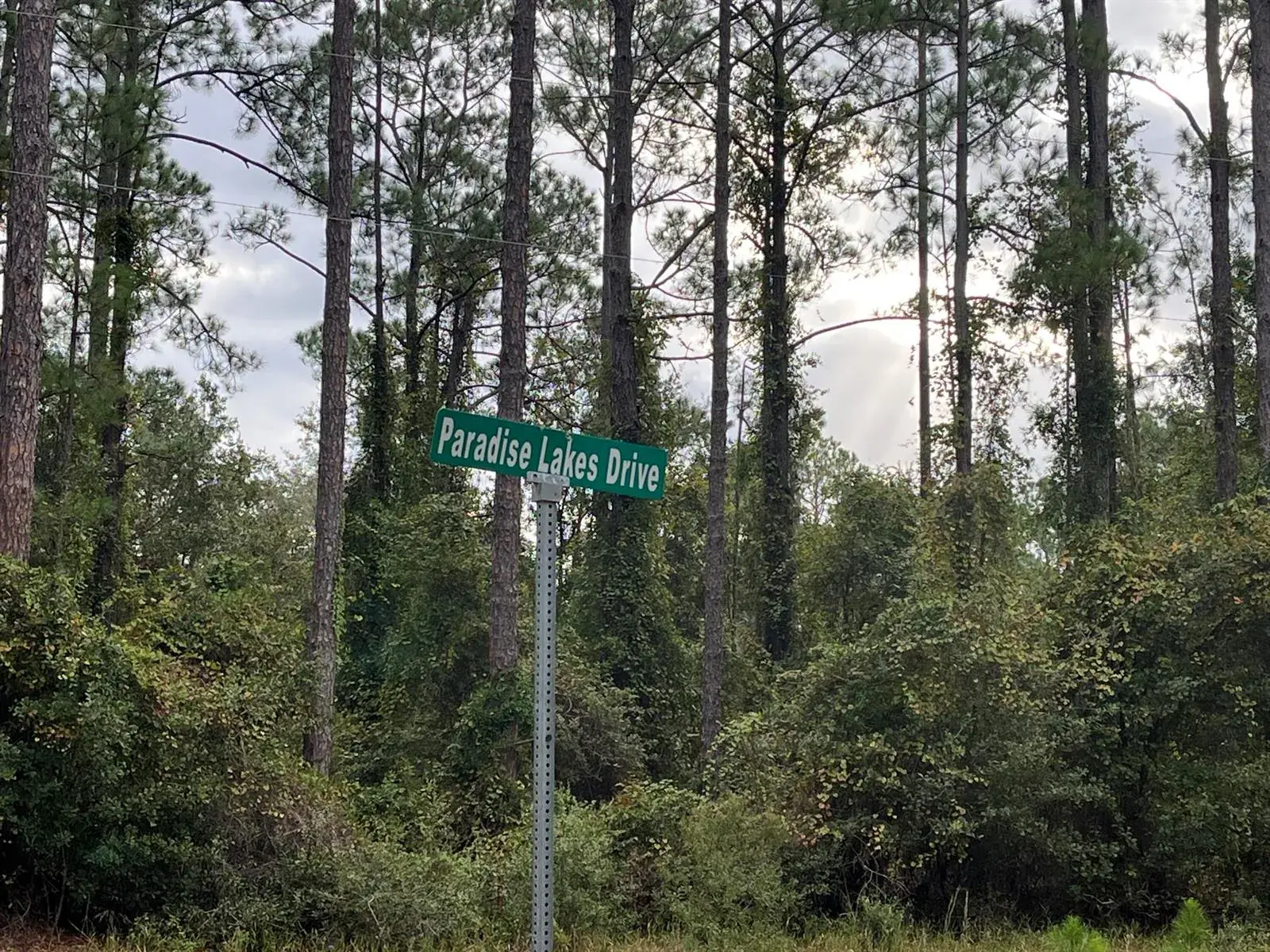 108 SE 5th Street, FL 32139
