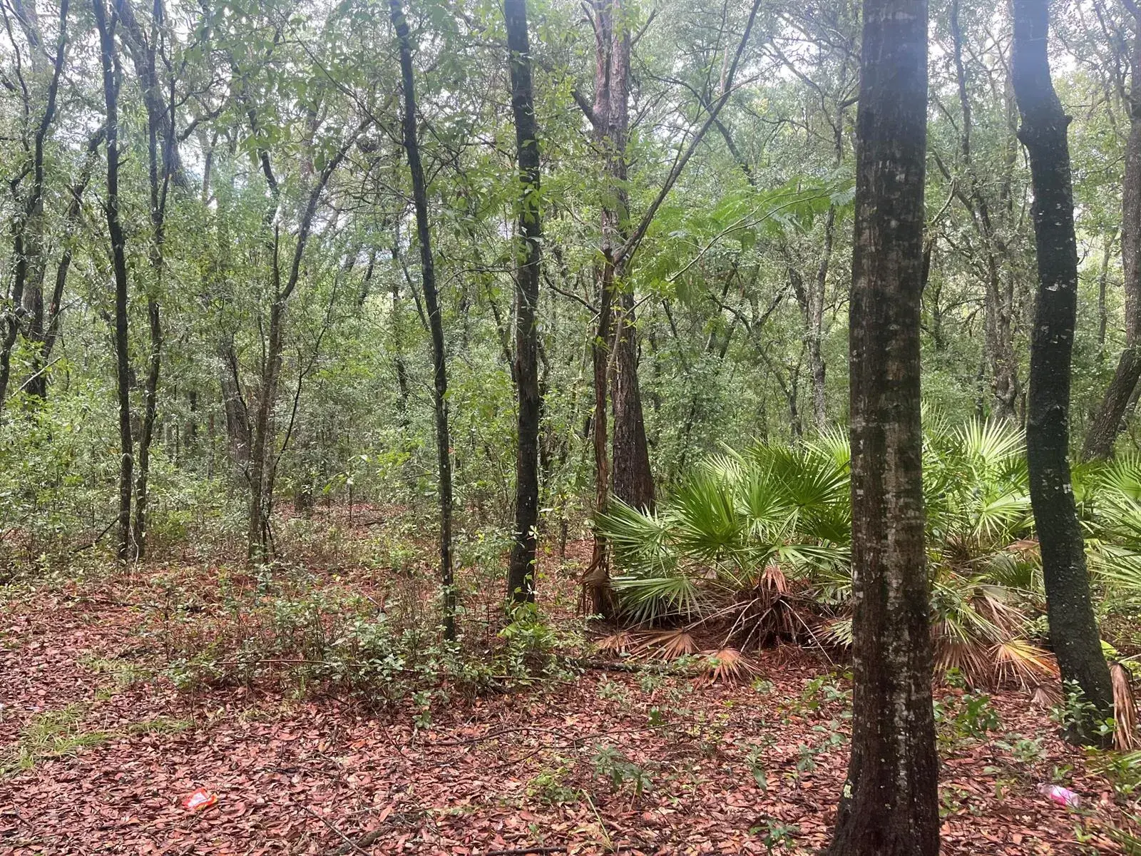 Land/Boat Docks for sale at Tbd Delaware Avenue, FL 32148