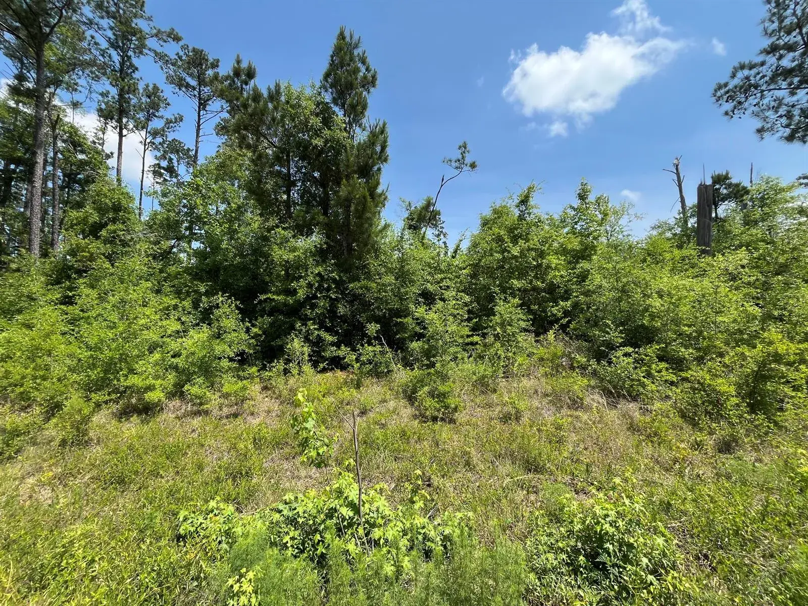 Land/Boat Docks for sale at Tbd Grand Quiviera Circle, FL 32420