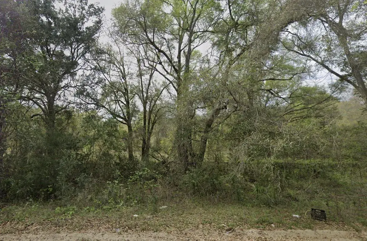 305 Milton Avenue, FL 32148