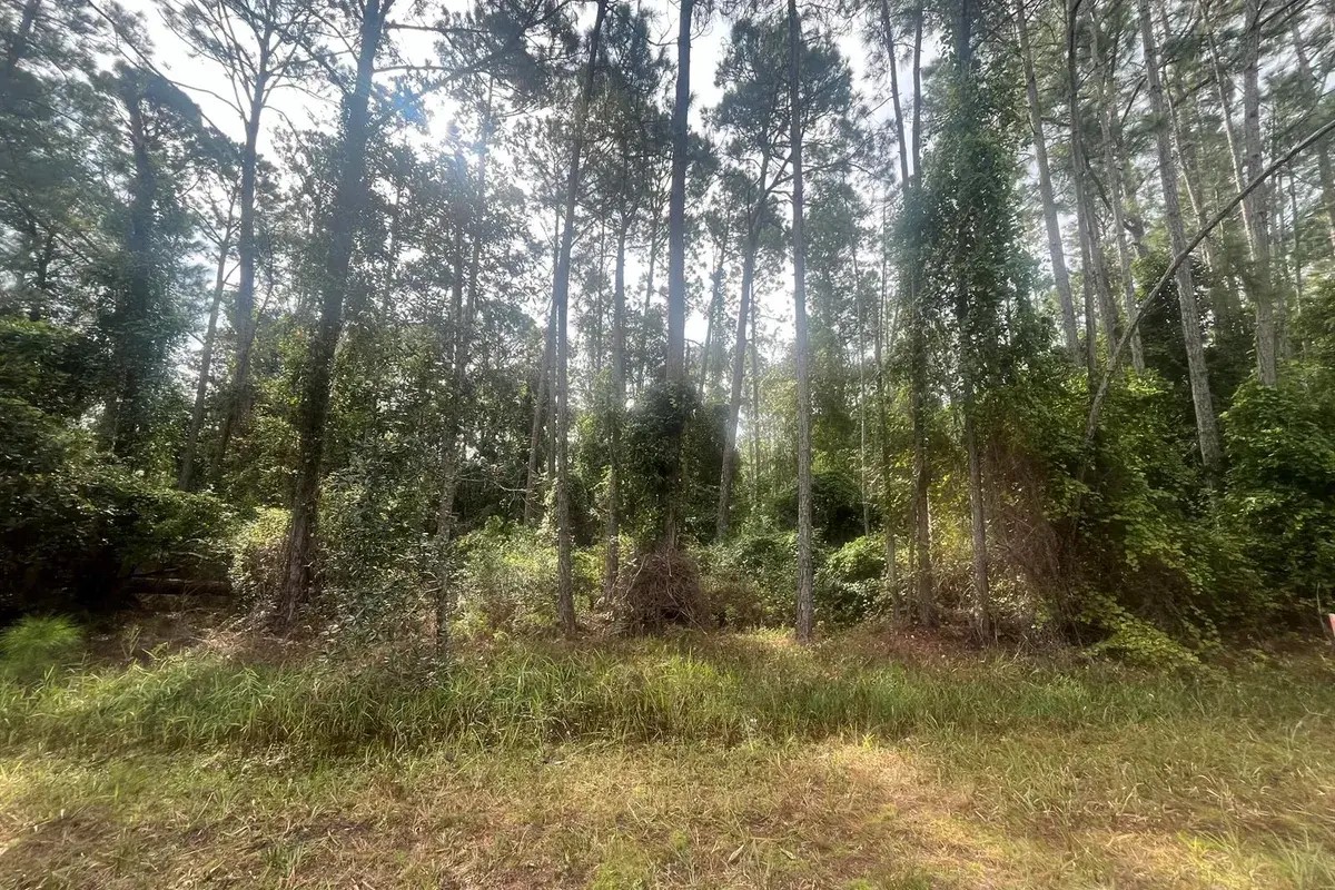 223 SE 2nd Street, FL 32139