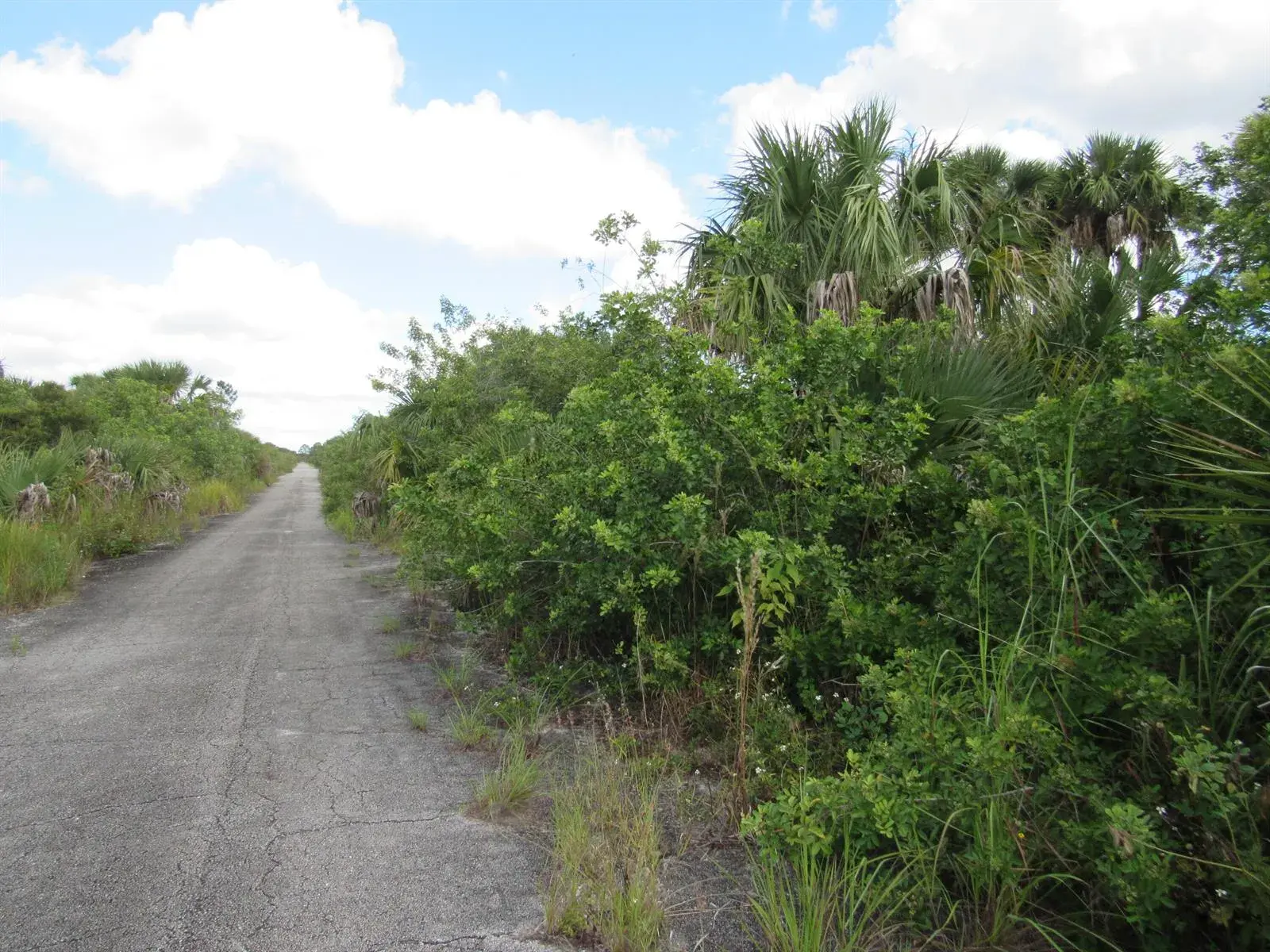 Land/Boat Docks for sale at 3362 Anhinga Avenue SW, Palm Bay FL 32908