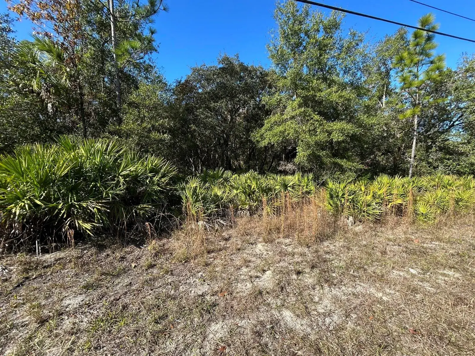 Land/Boat Docks for sale at 632 N Dunkenfield Avenue, FL 34429