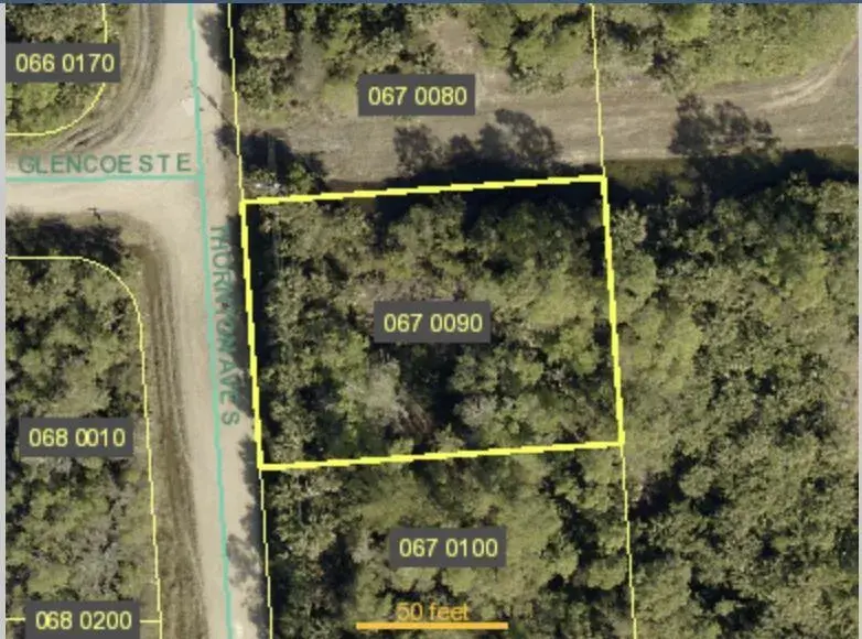 Land/Boat Docks for sale at 245 Thornton Avenue S, Lehigh Acres FL 33974