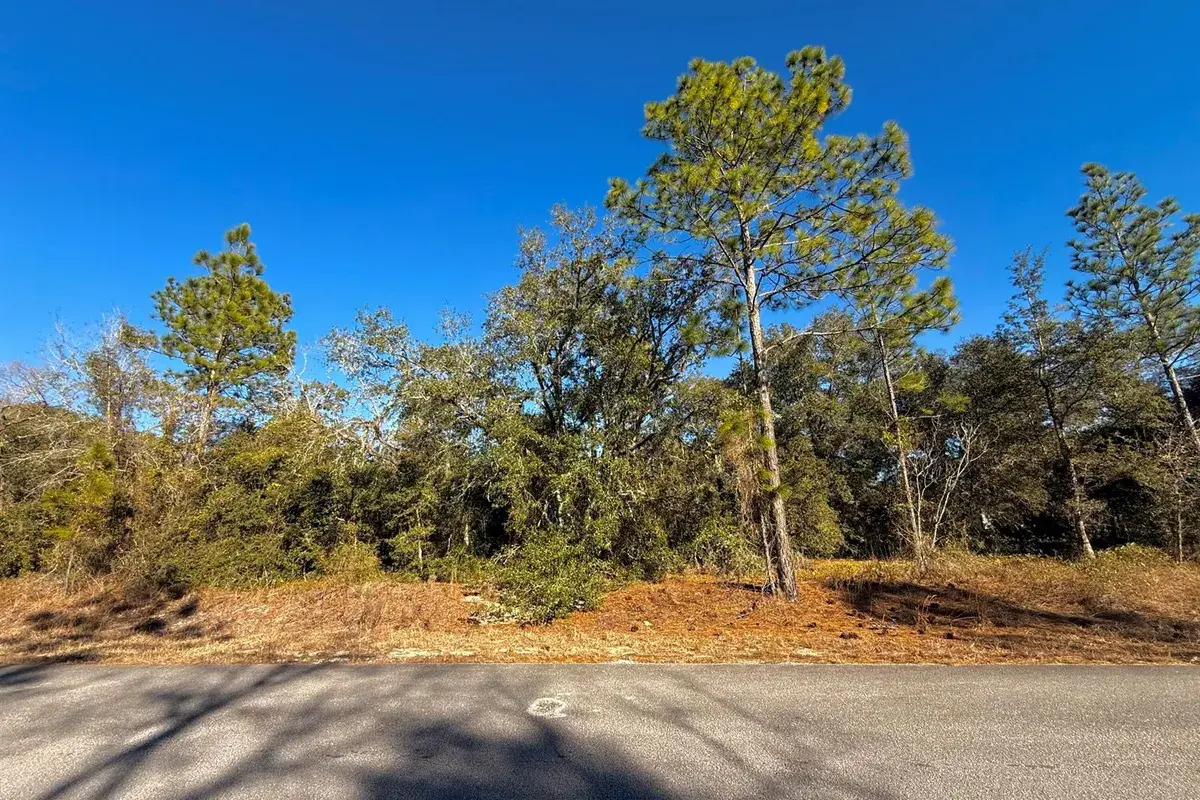 Tbd Lot 35 SW Lobelia Court, FL 34431