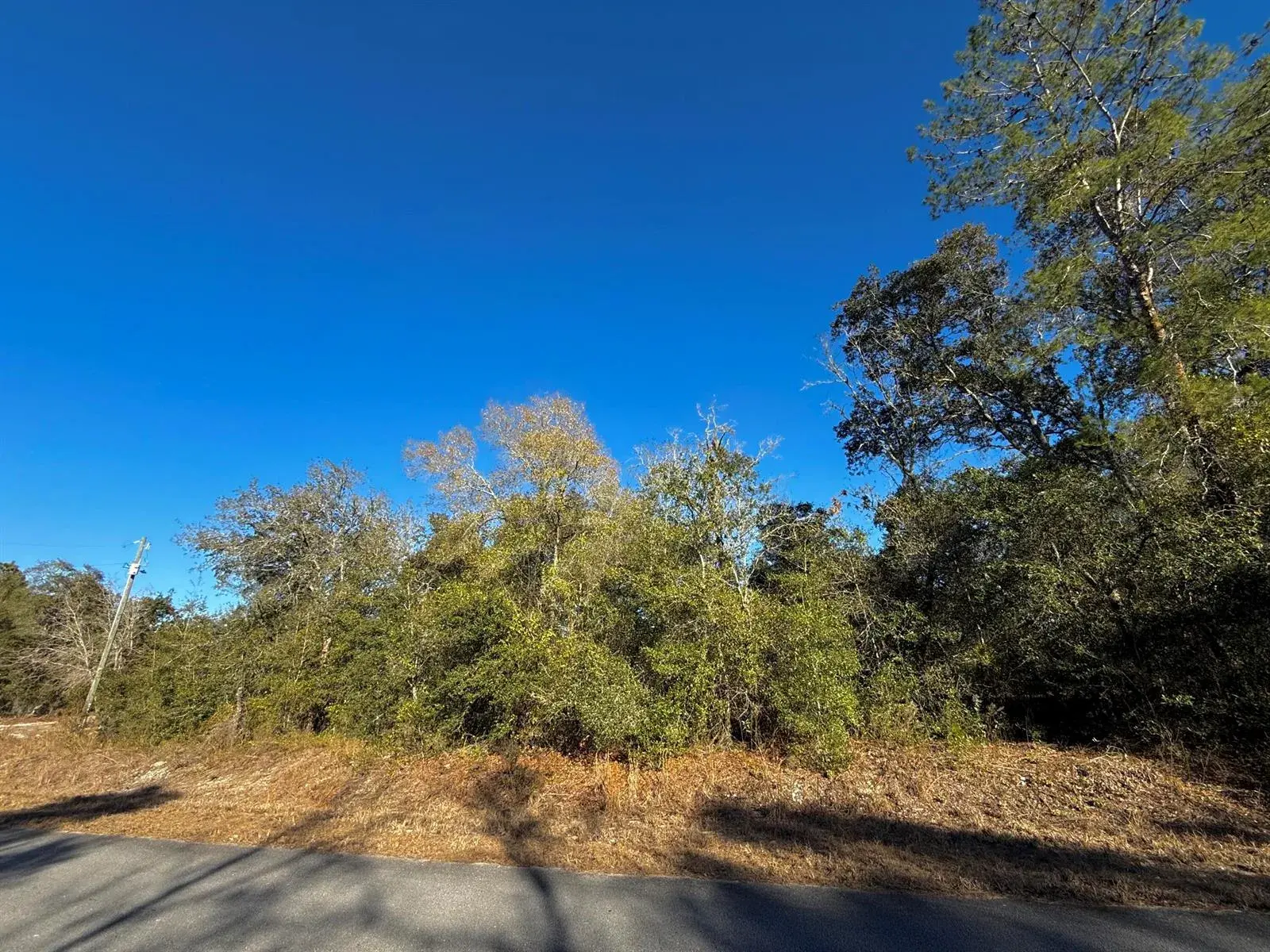 Tbd Lot 35 SW Lobelia Court, FL 34431
