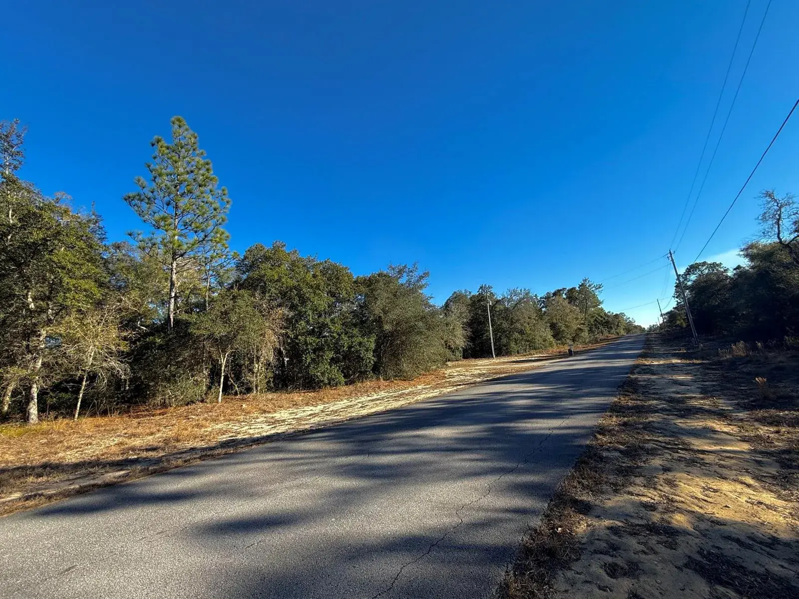 Tbd Lot 35 SW Lobelia Court, FL 34431