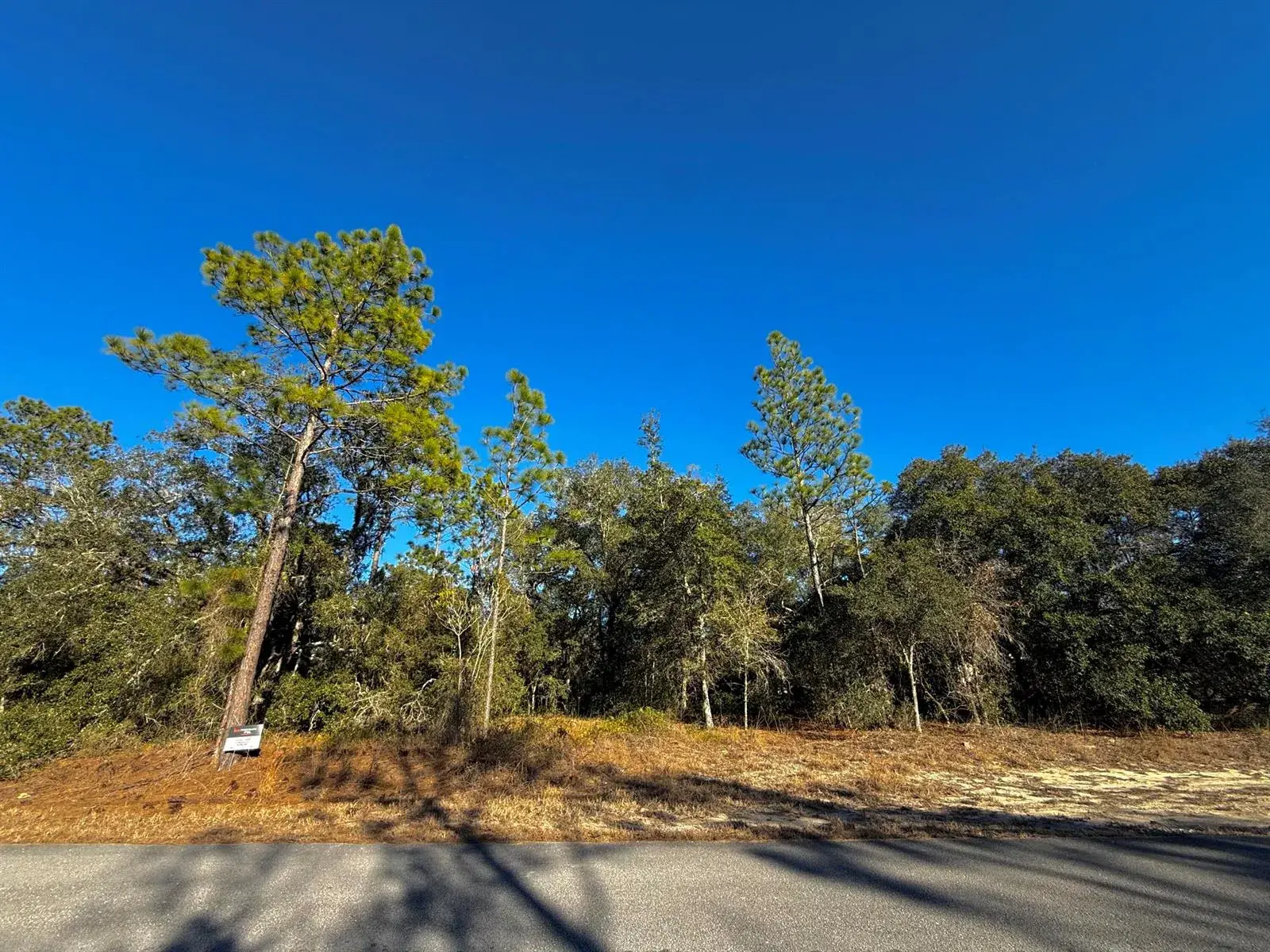 Tbd Lot 35 SW Lobelia Court, FL 34431