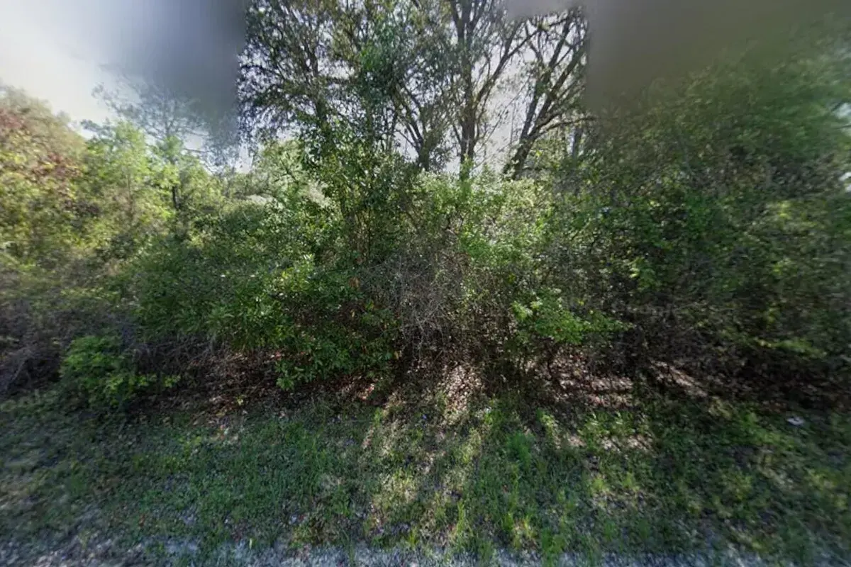 Tbd NE 799th Street, FL 32680
