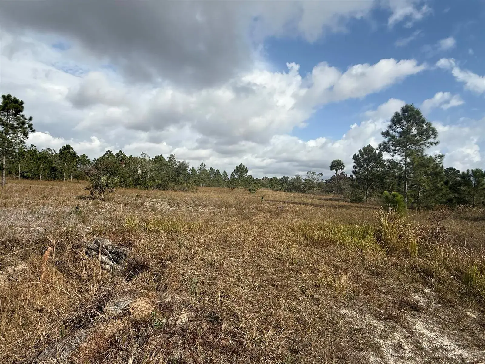 16375 NW 314th Street, Okeechobee FL 34972