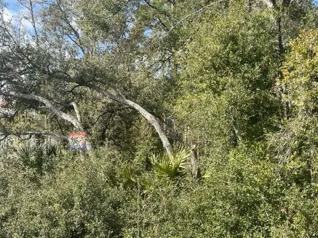 Land/Boat Docks for sale at 000 Malauka Cir Circle, FL 32179