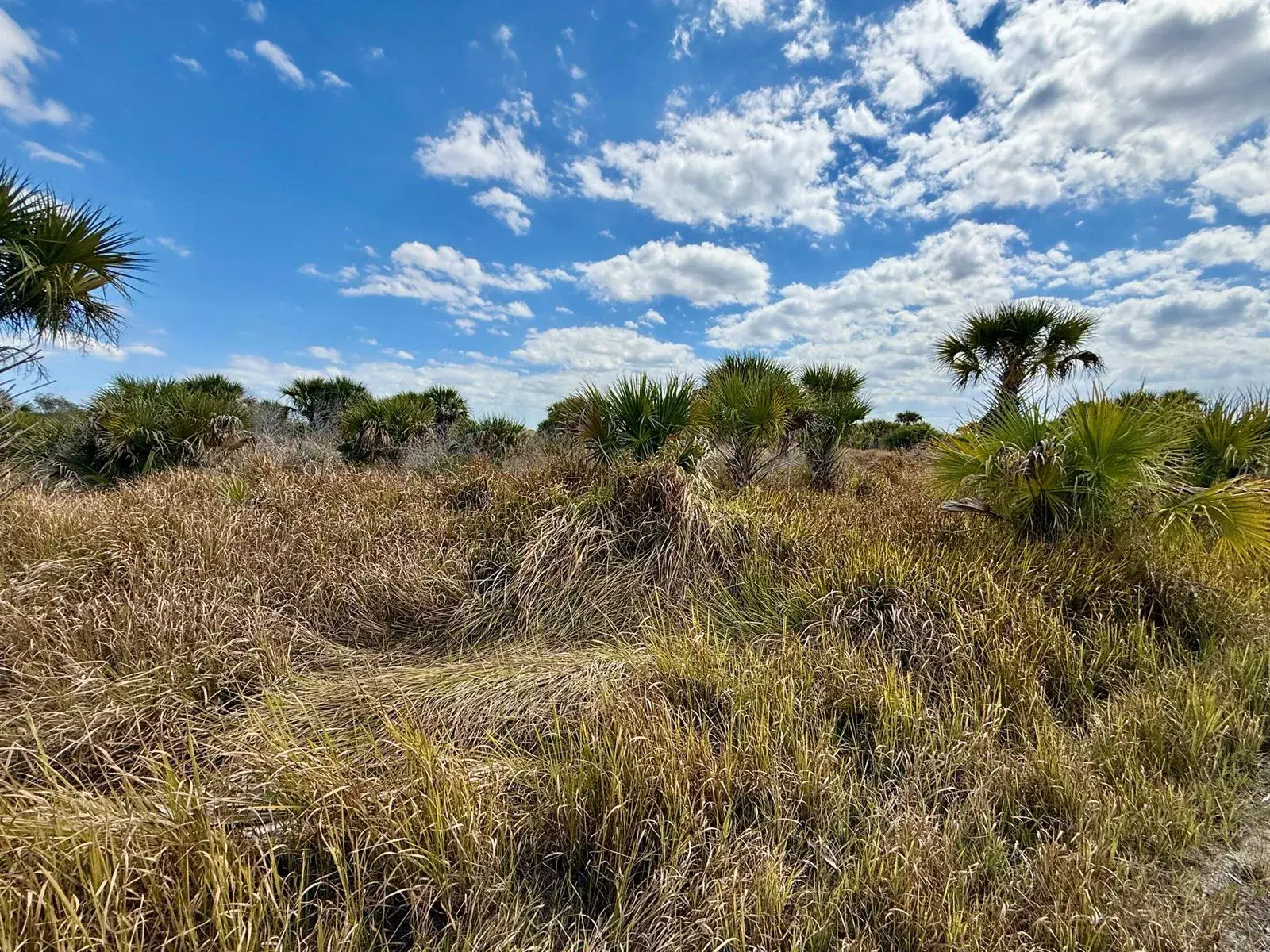 Land/Boat Docks for sale at 1909 Comer Terrace SW, Palm Bay FL 32908