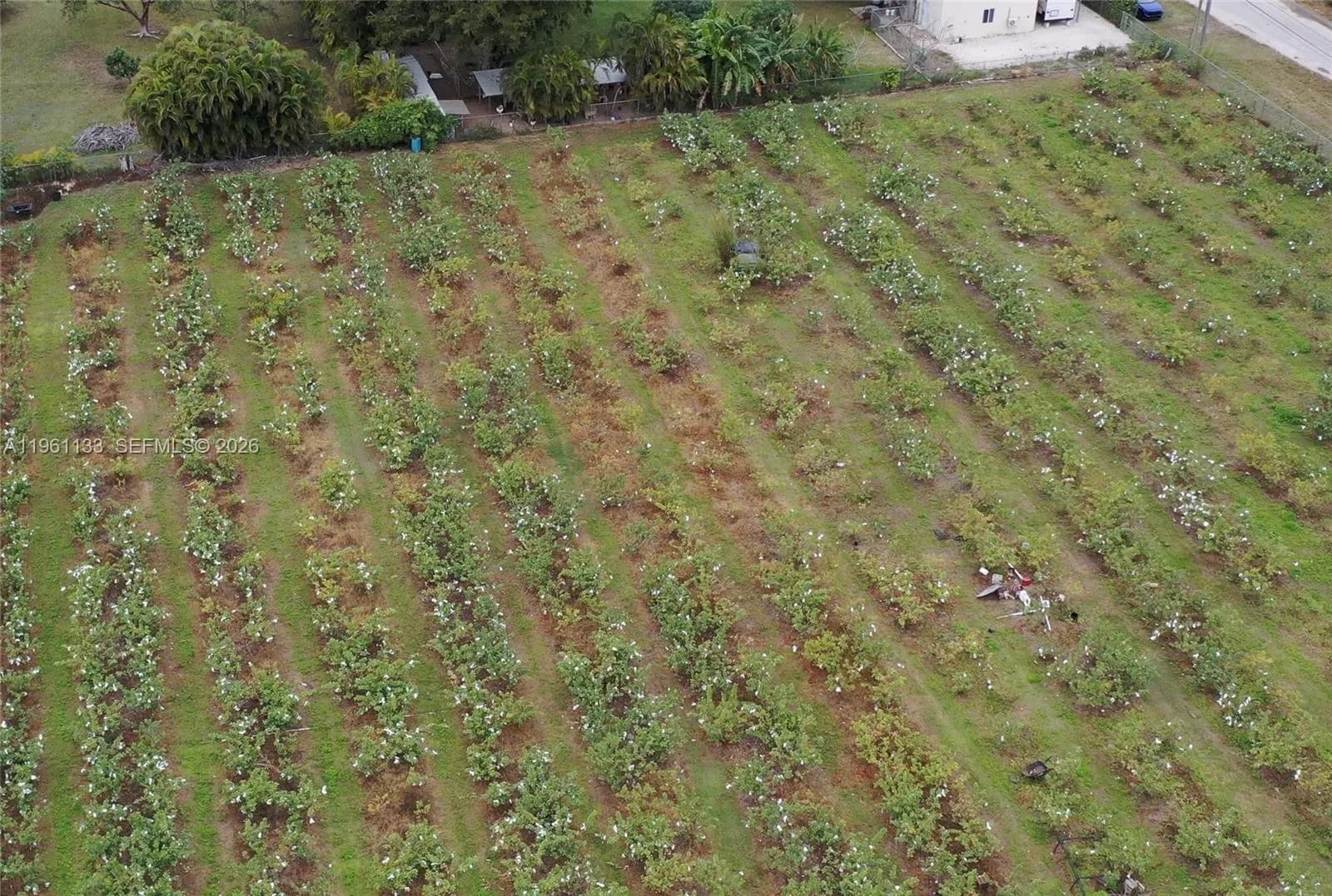 170 ave SW SW 160 ST, Unincorporated Dade County FL 33187