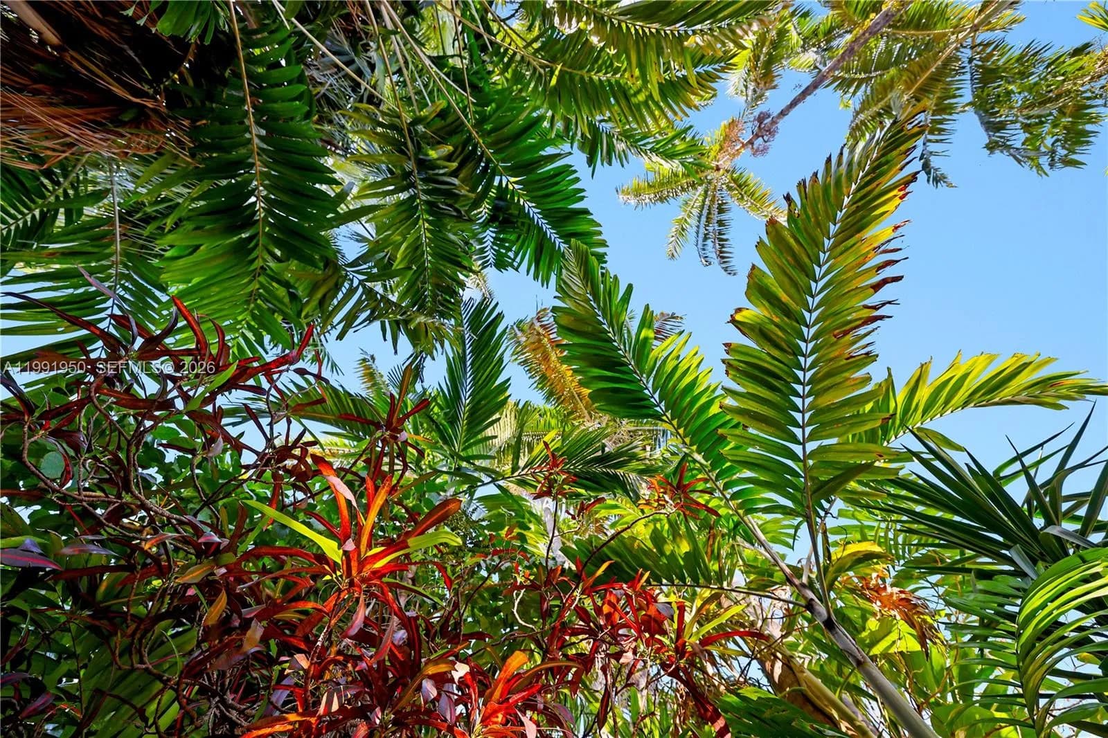 720 NE 75th St, Miami FL 33138