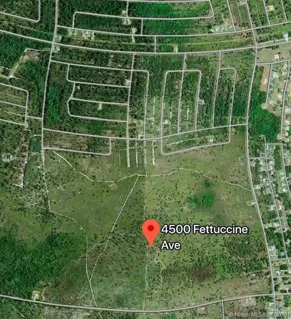 4500 FETTUCCINE AVE, Sebring FL 33872 photo 2