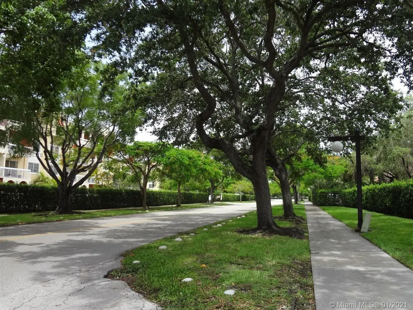 7705 Camino Real # 101, Miami FL 33143
