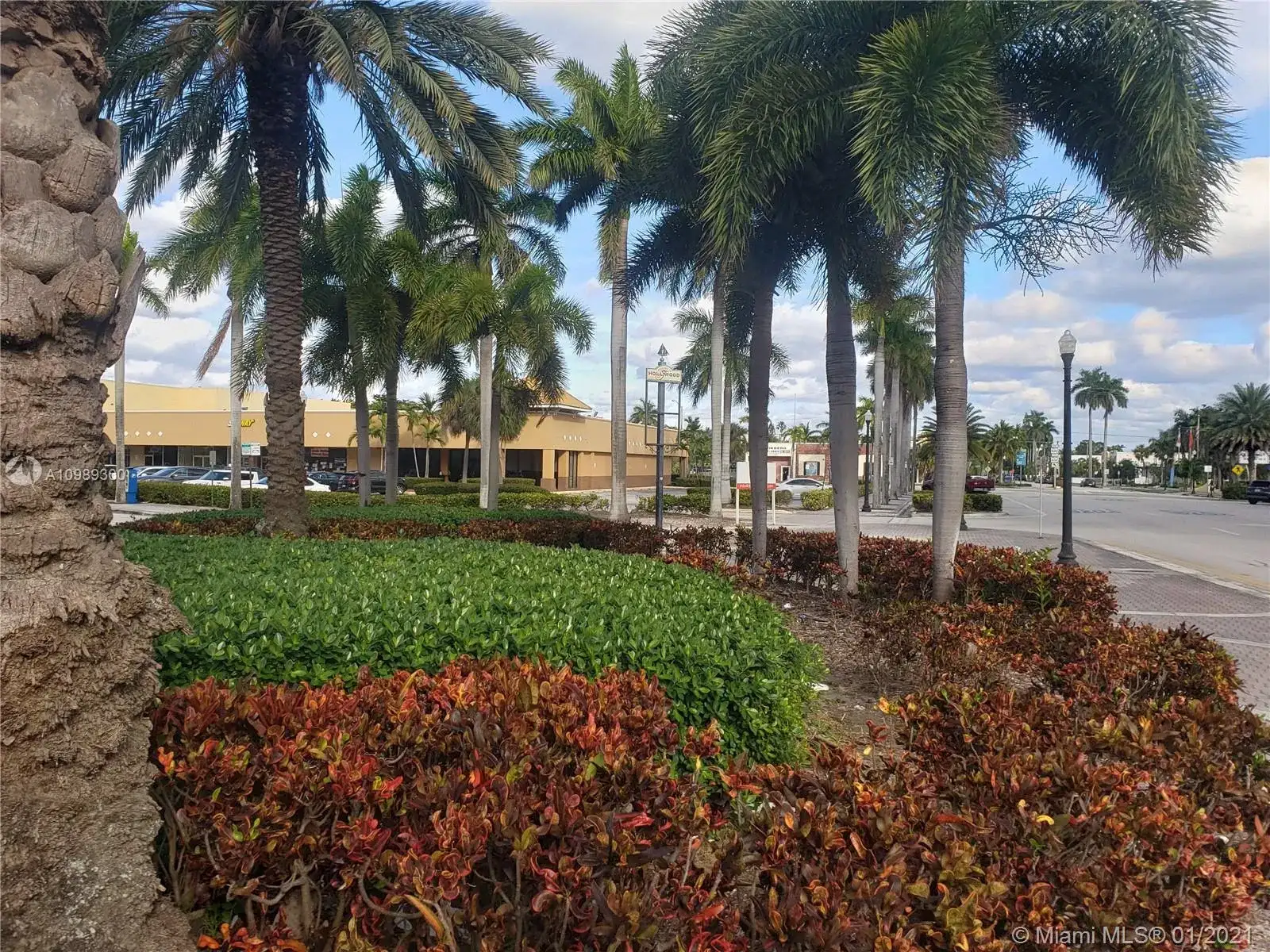 1720 Harrison St # 12D, Hollywood FL 33020 photo 2