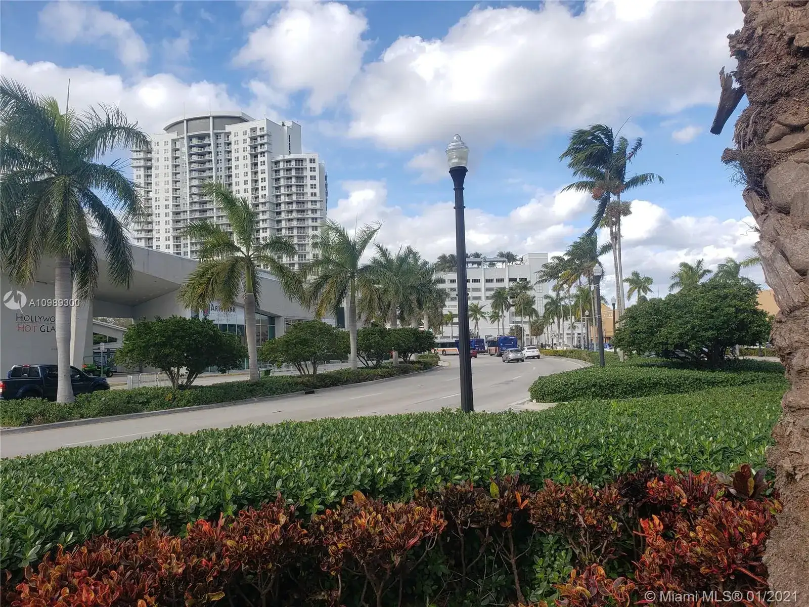 1720 Harrison St # 12D, Hollywood FL 33020 photo 3
