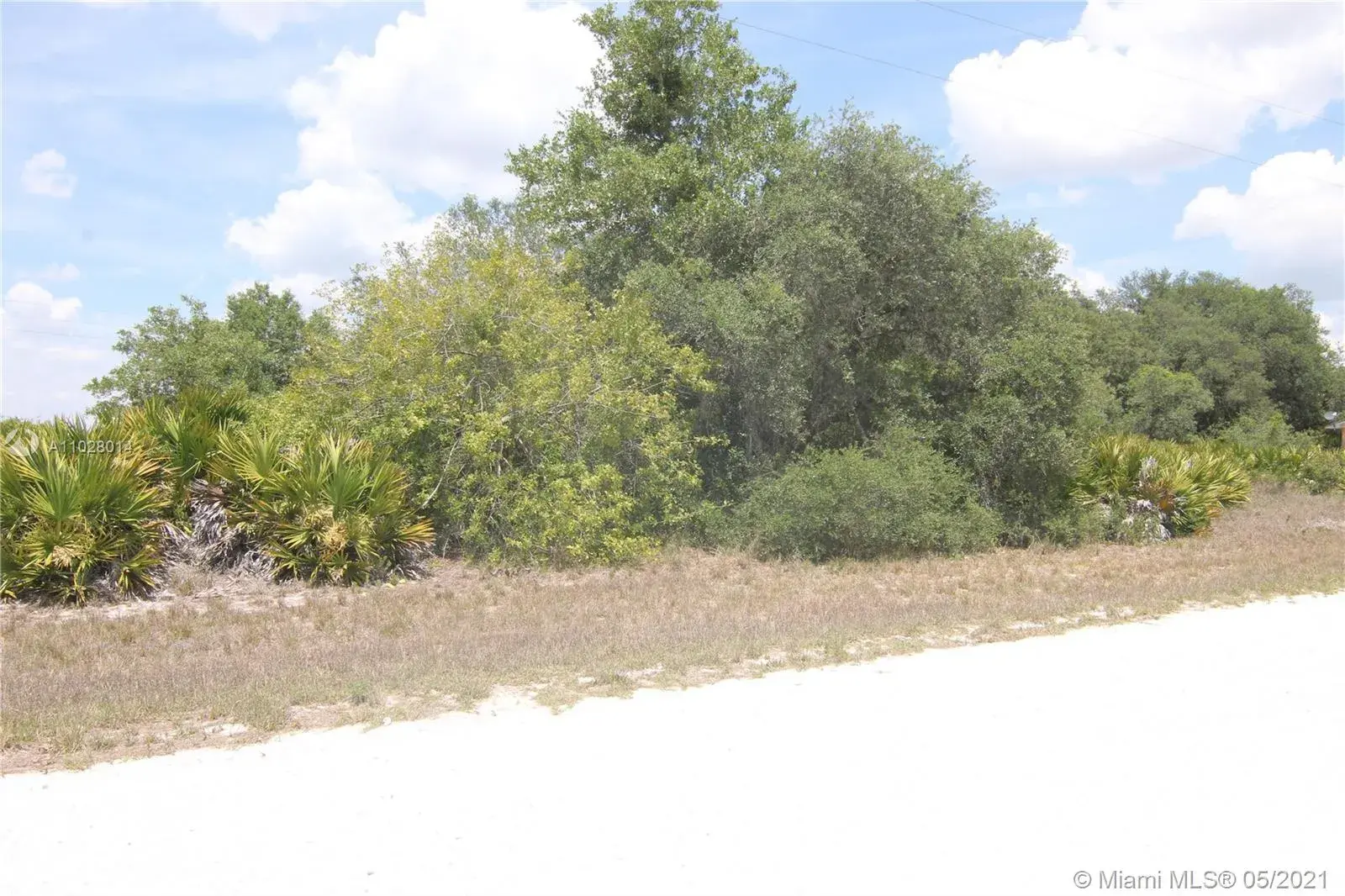 2060 W Oxnard Rd, Avon Park FL 33825