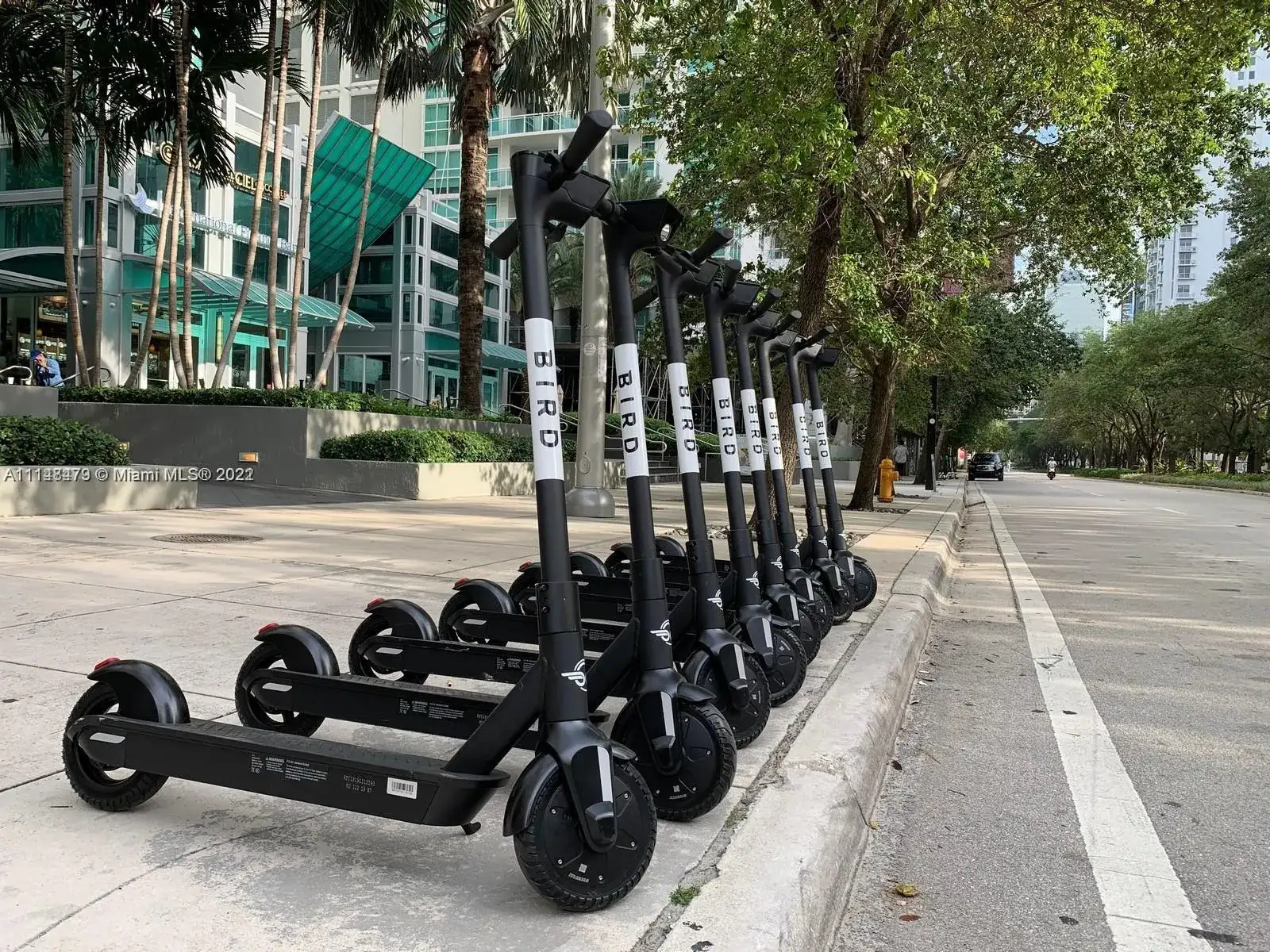 951 Brickell Ave # 3403, Miami FL 33131 photo 5