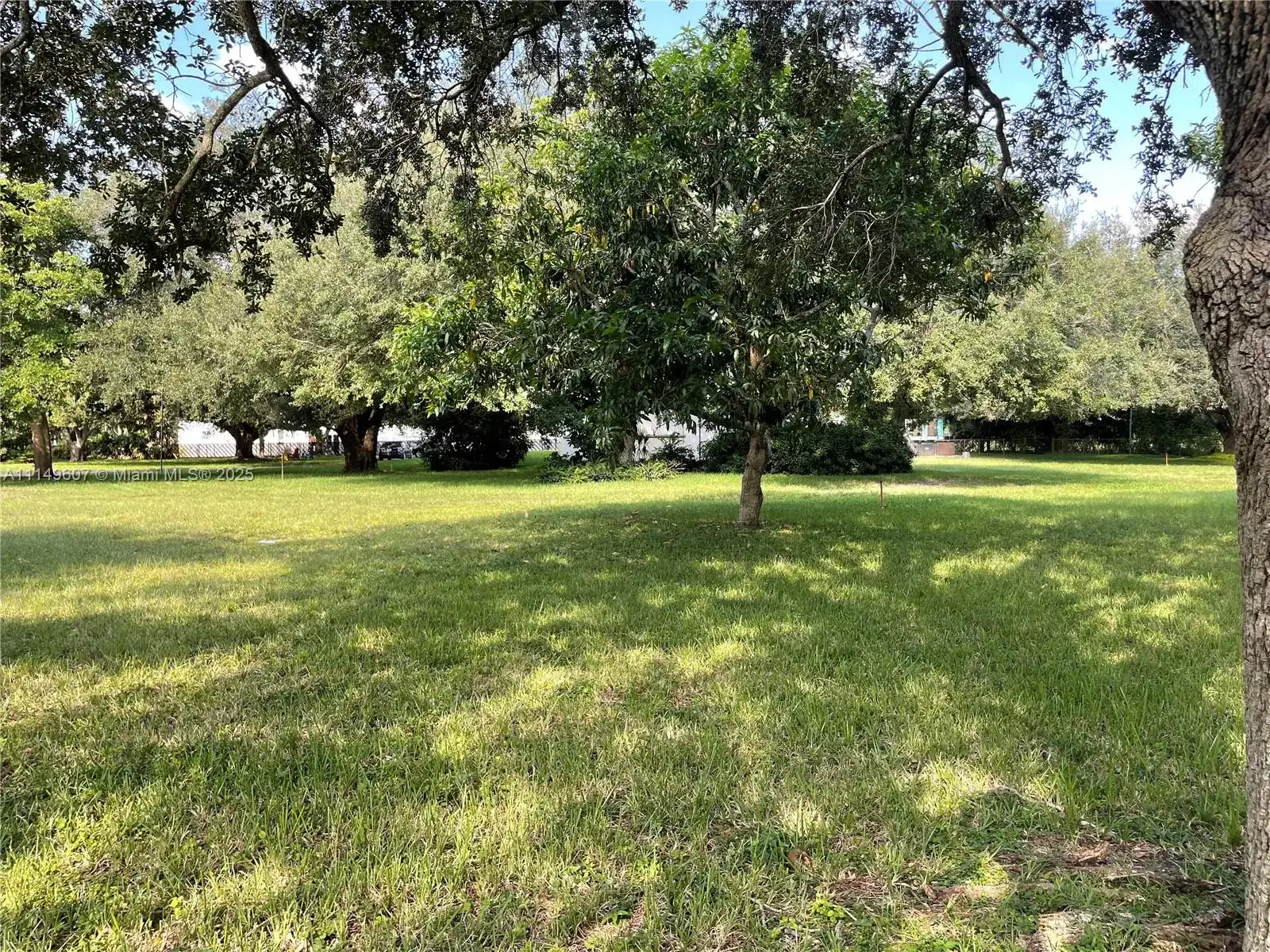 7227 Taft St, Pembroke Pines FL 33024 photo 3