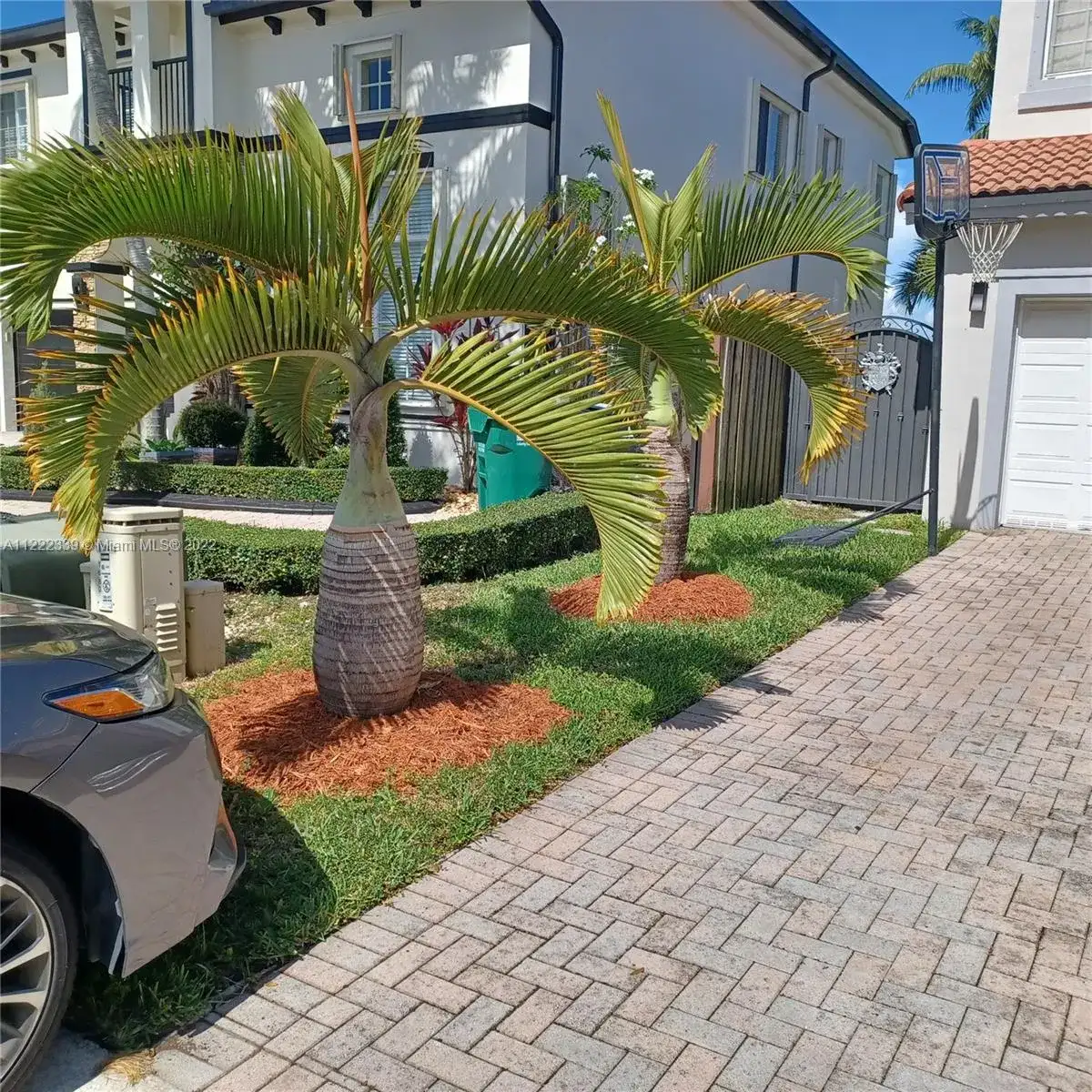 1680 SW 154th Path, Miami FL 33185 photo 4