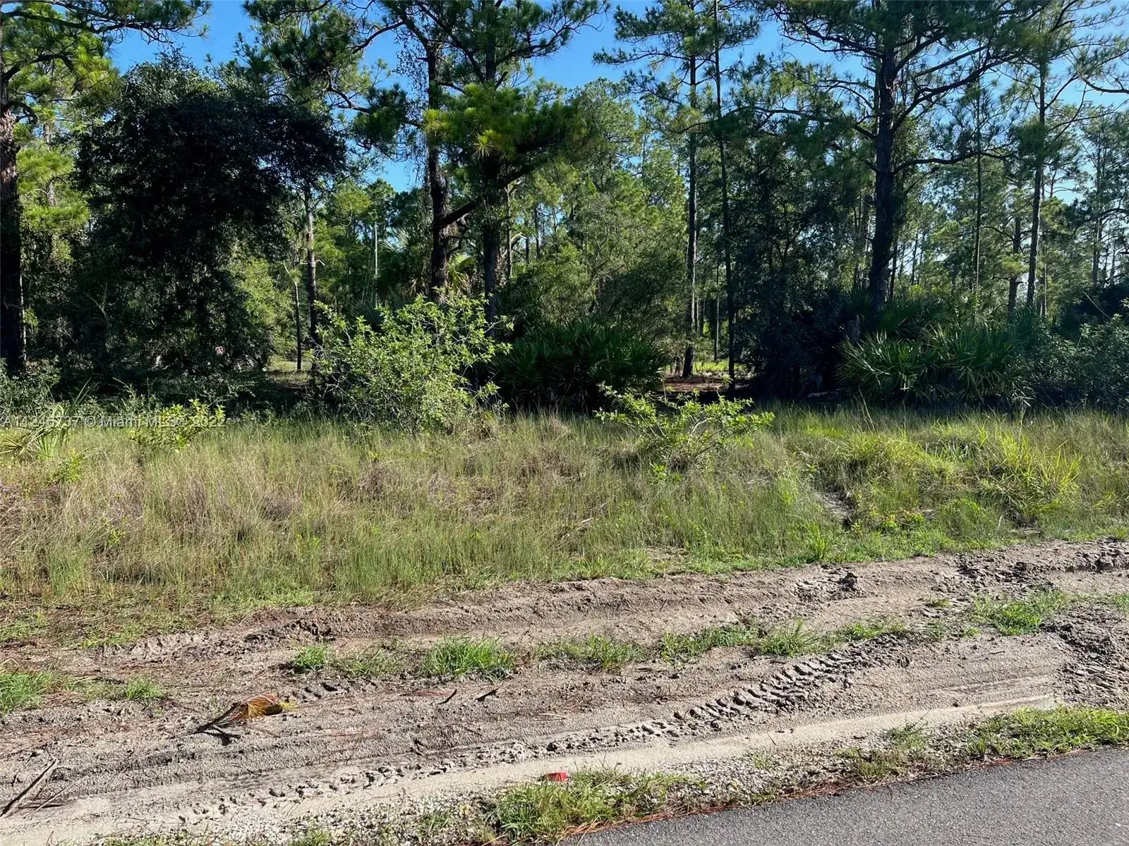 1201 Dixie AVE, Other City - In The State Of Florida FL 33972 photo 3
