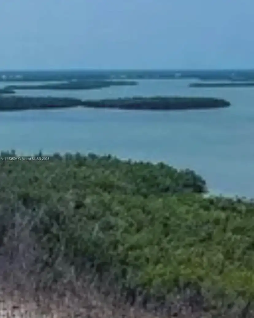 2044 Dogwoods, Marco Island FL 34145 photo 4