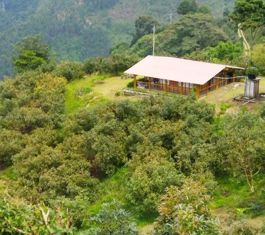 Armenia-Quindio, FL