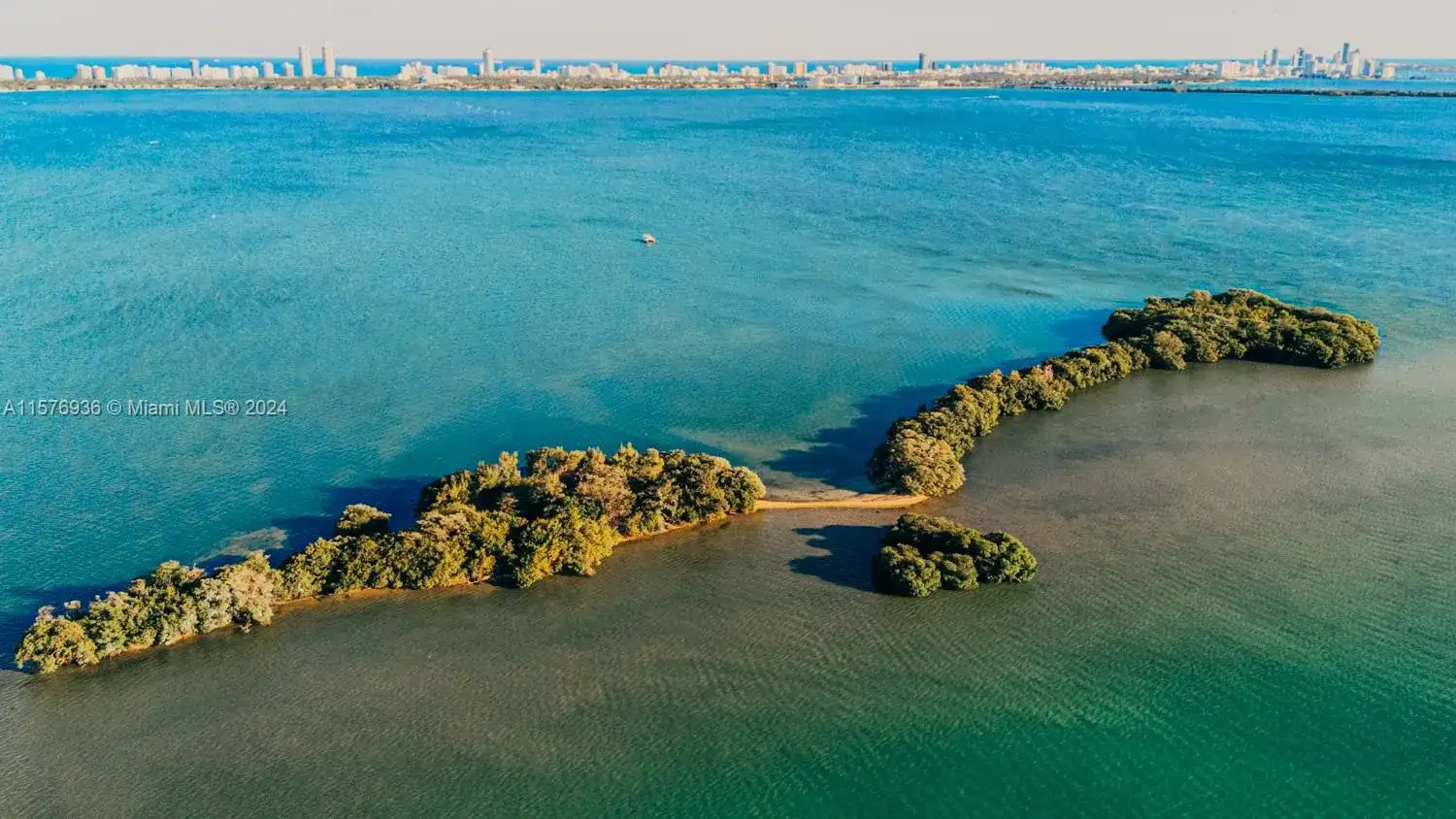 1 BIRD KEY, Miami FL 33138 photo 3