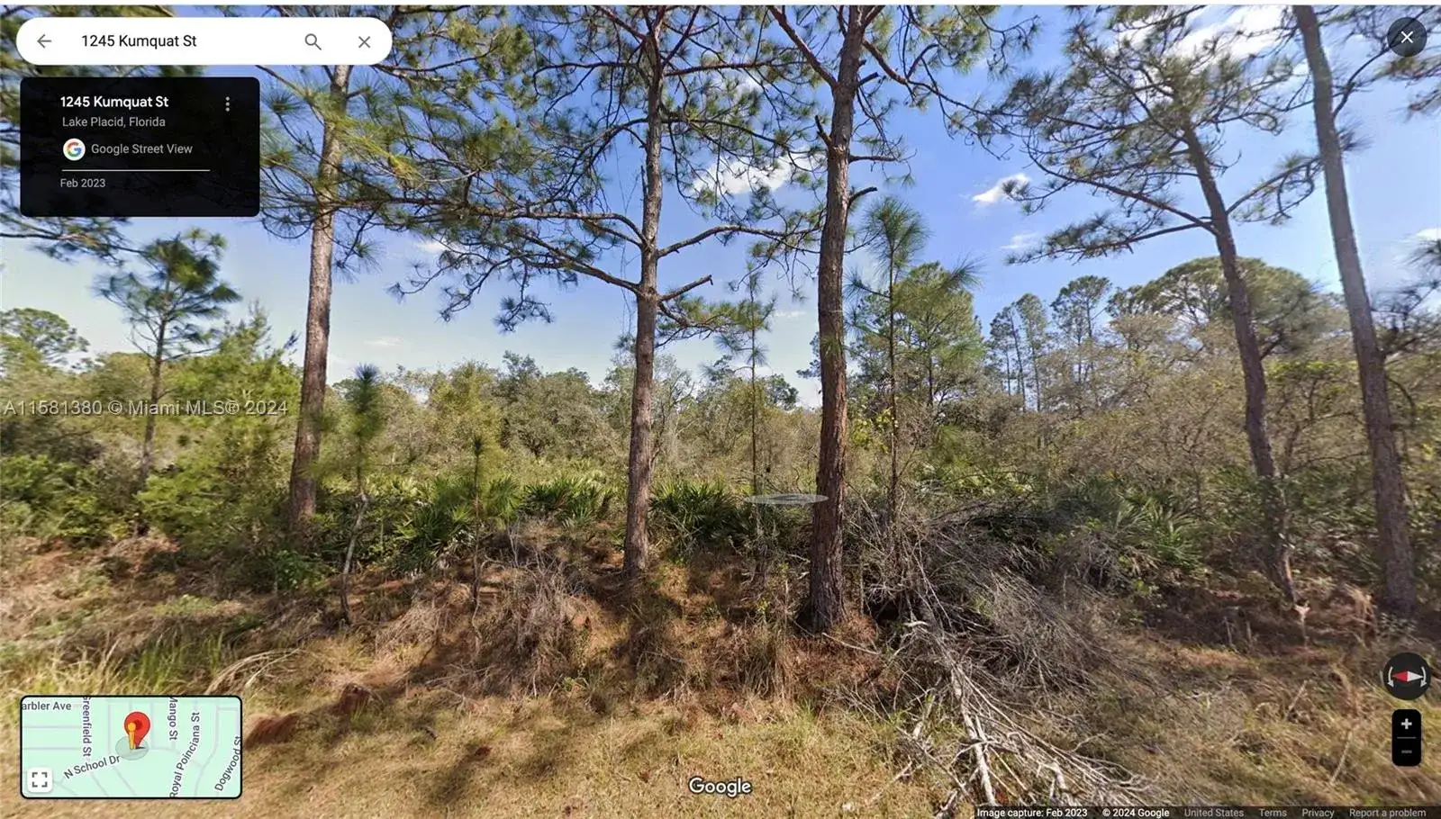 1245 KUMQUAT ST, Lake Placid FL 33852 photo 3