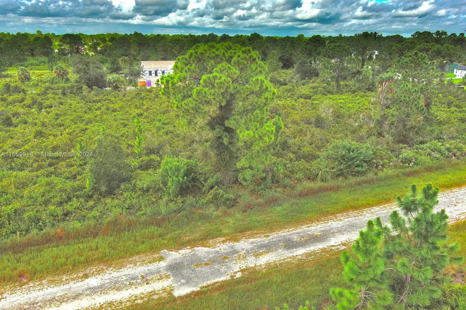 642 Vasser Ave S, Lehigh Acres FL 33974 photo 5