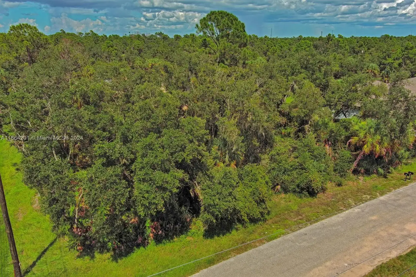 17124 Carleen Ave, Port Charlotte FL 33948 photo 4