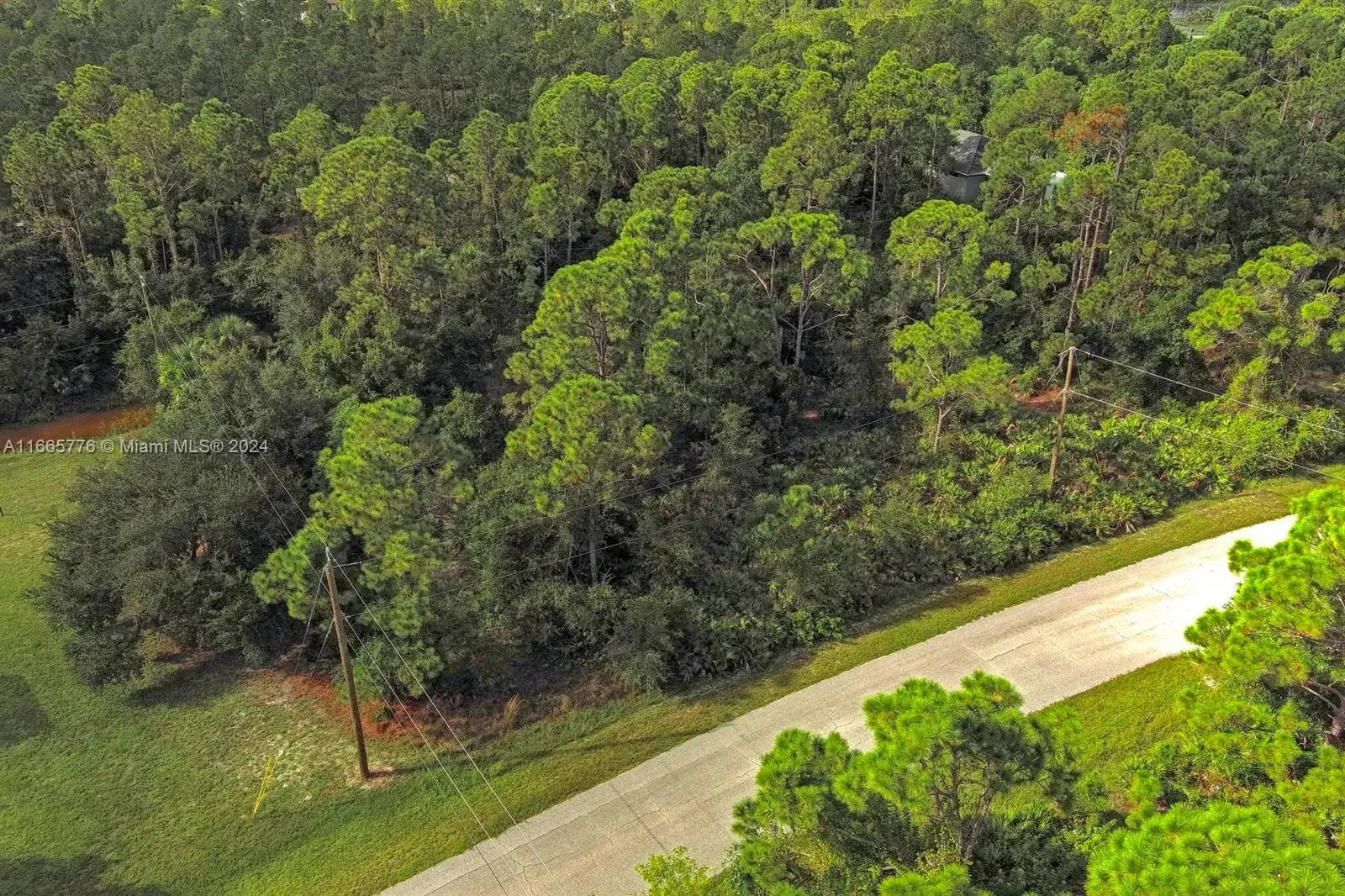 27369 N Twin Lakes Dr, Punta Gorda FL 33955 photo 3