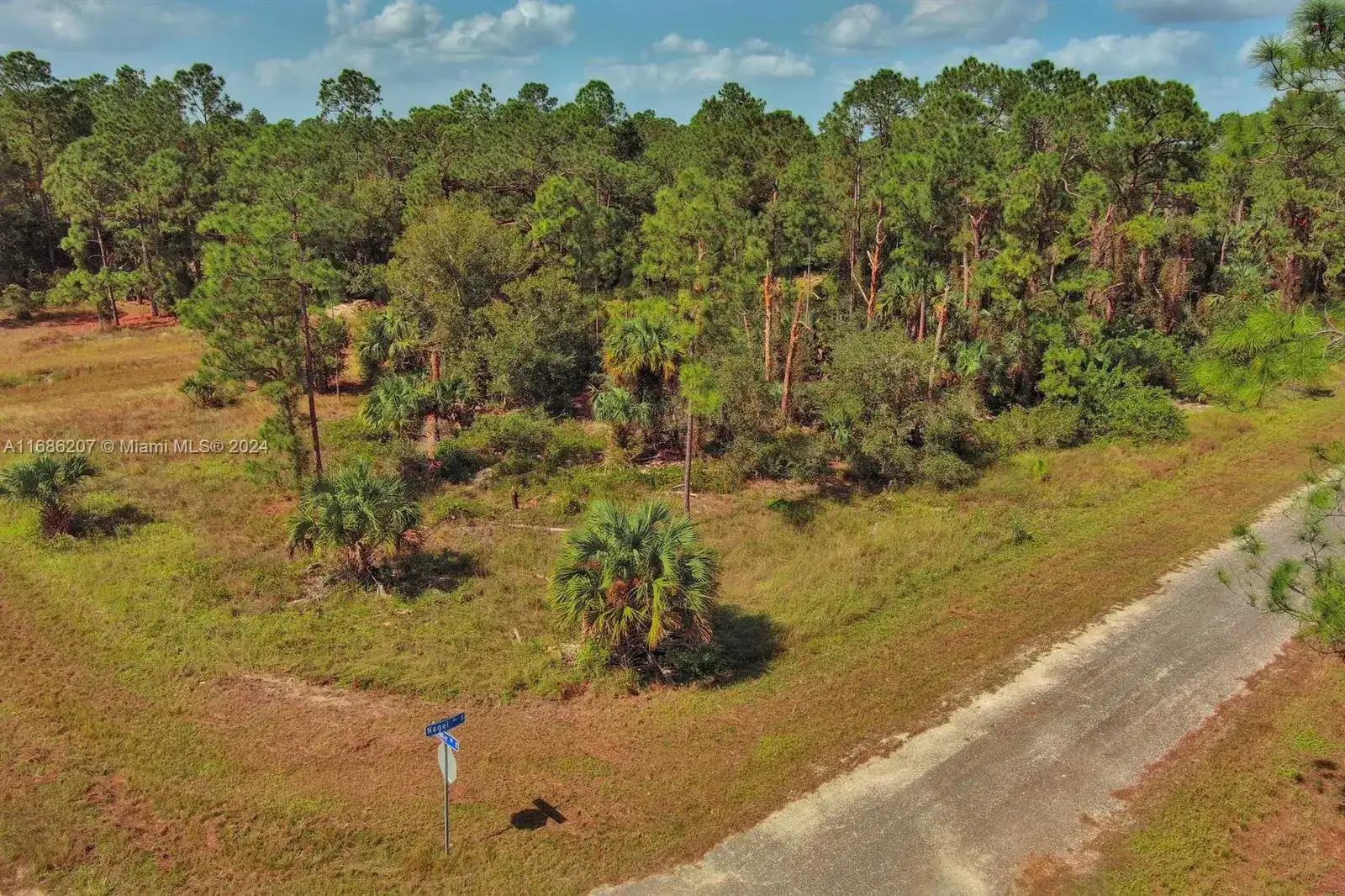 158 Nagel Ave S, Lehigh Acres FL 33974 photo 3