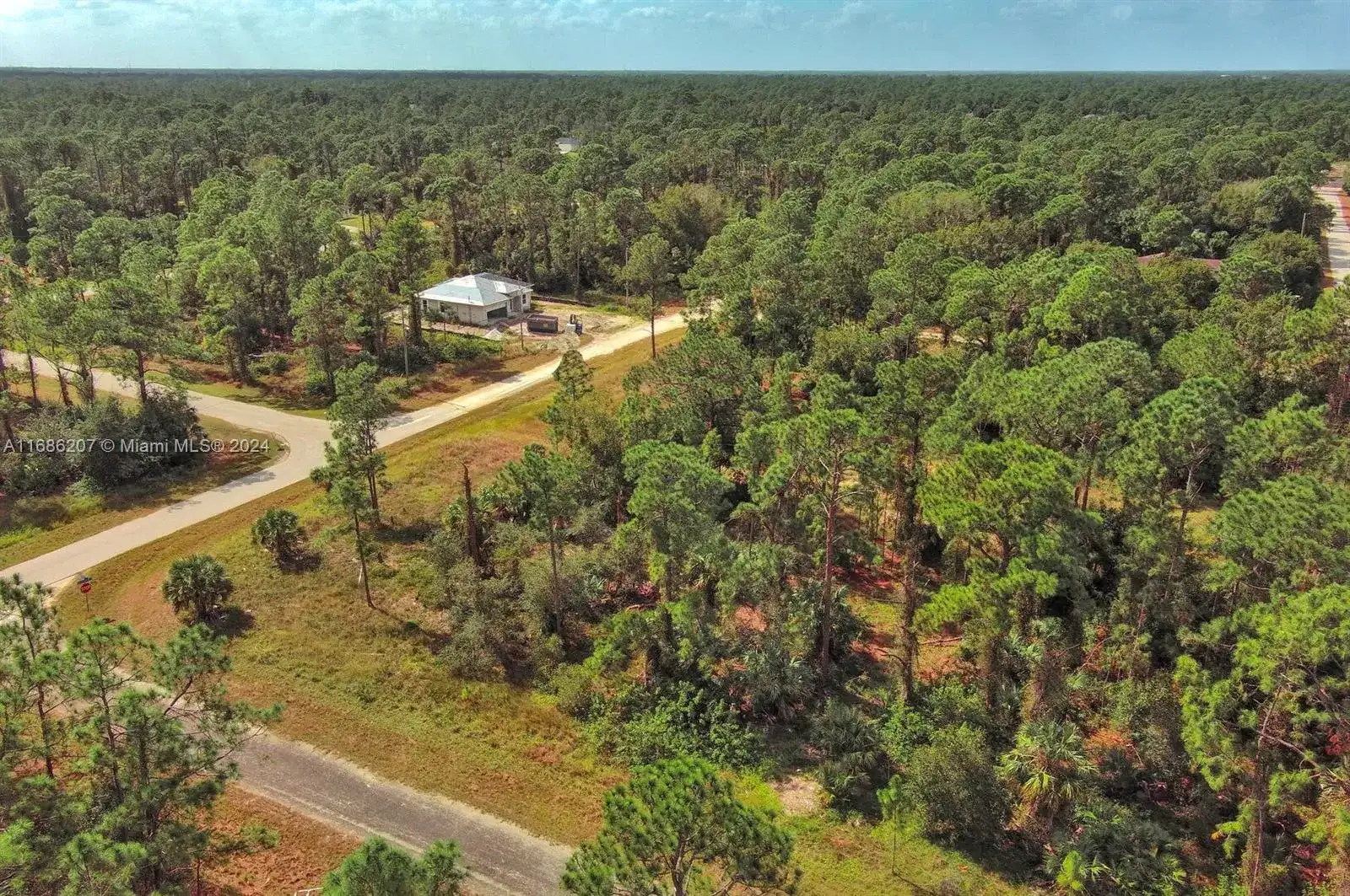 158 Nagel Ave S, Lehigh Acres FL 33974 photo 5