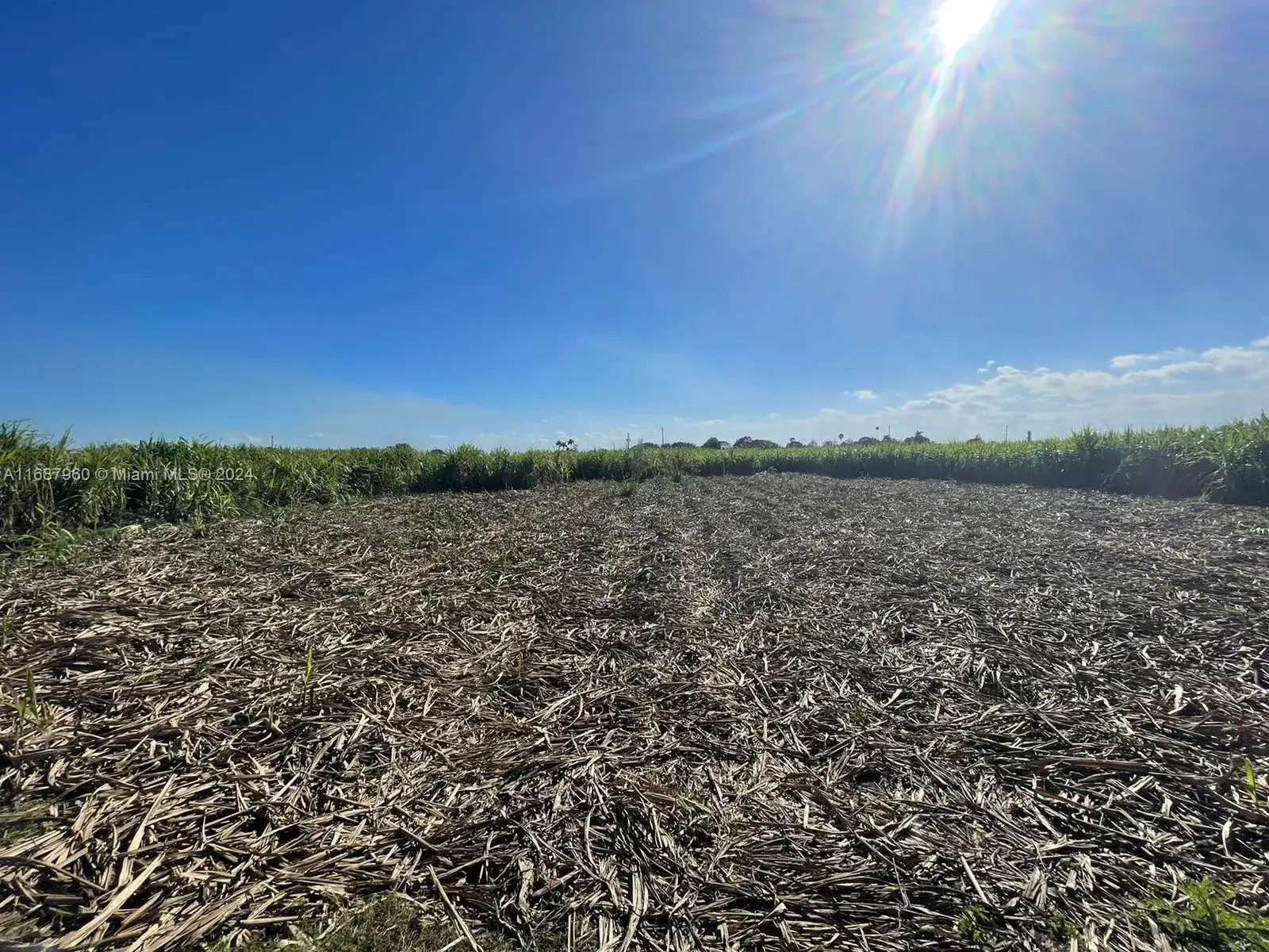 80 State RD Miami Canal Rd, Unincorporated Palm Beach County FL 33440 photo 2