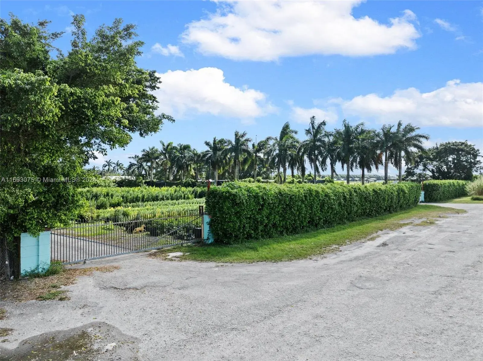 20235 SW 172nd Ave, Miami FL 33187