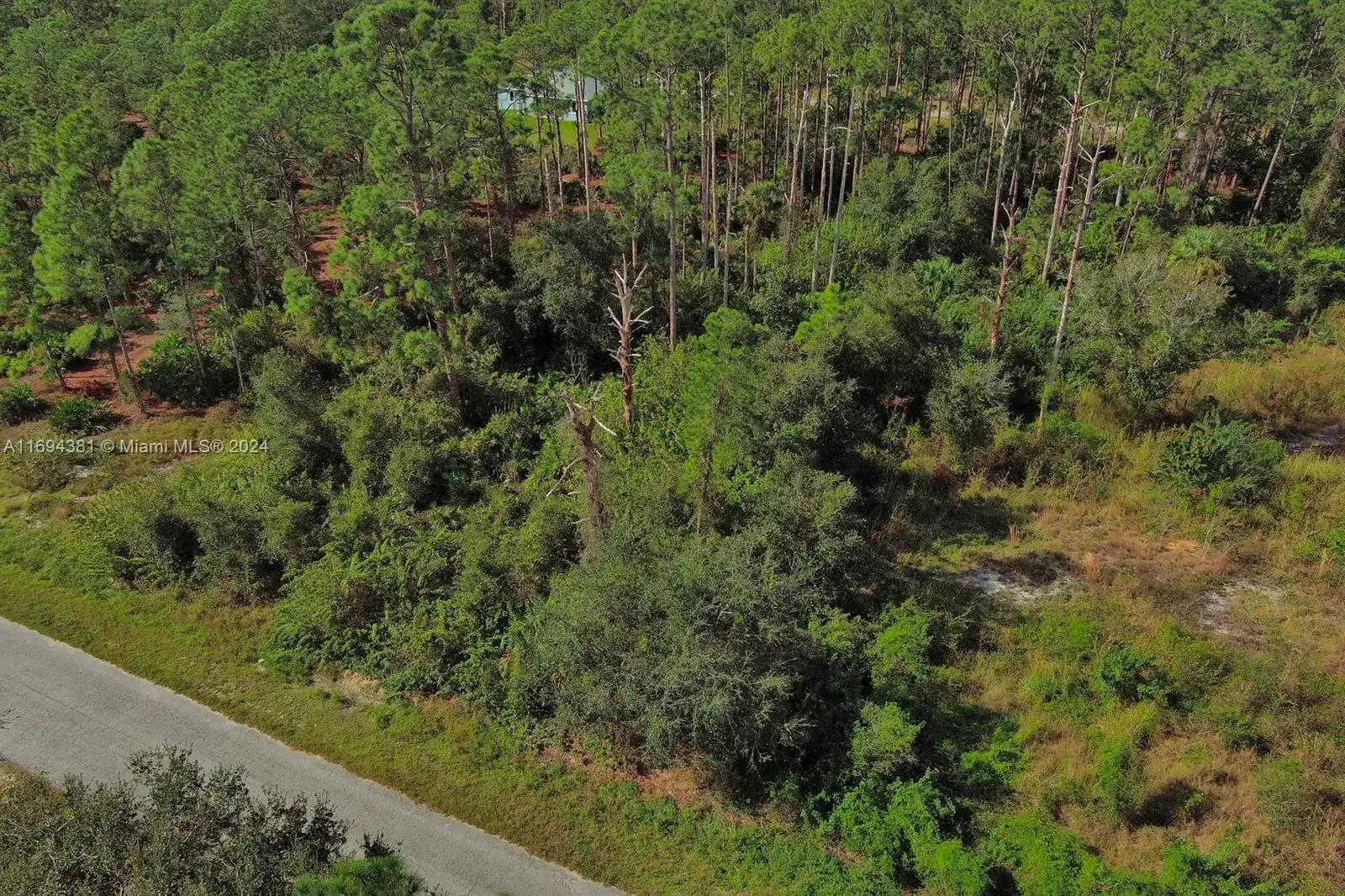 1515 Glenn Ave, Lehigh Acres FL 33972 photo 3