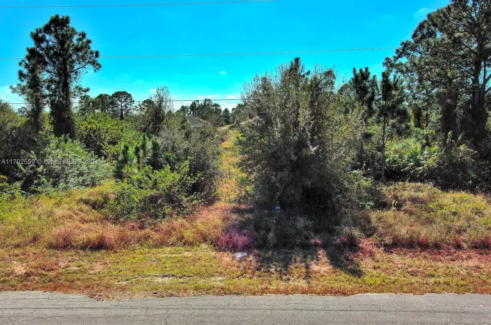 844 Carbon St E, Lehigh Acres FL 33974 photo 5