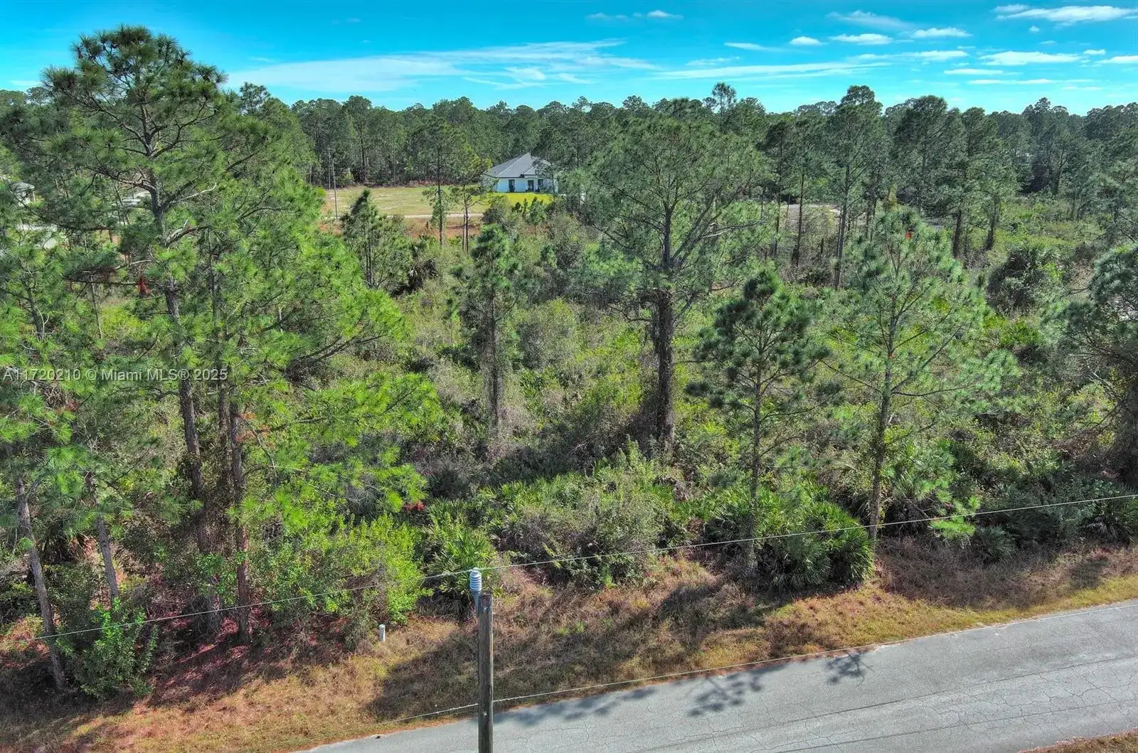 1020 Lake Ave, Lehigh Acres FL 33972 photo 3