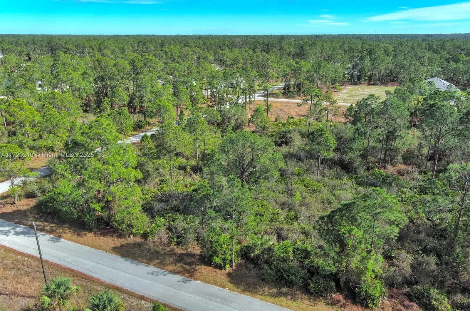 1020 Lake Ave, Lehigh Acres FL 33972 photo 4