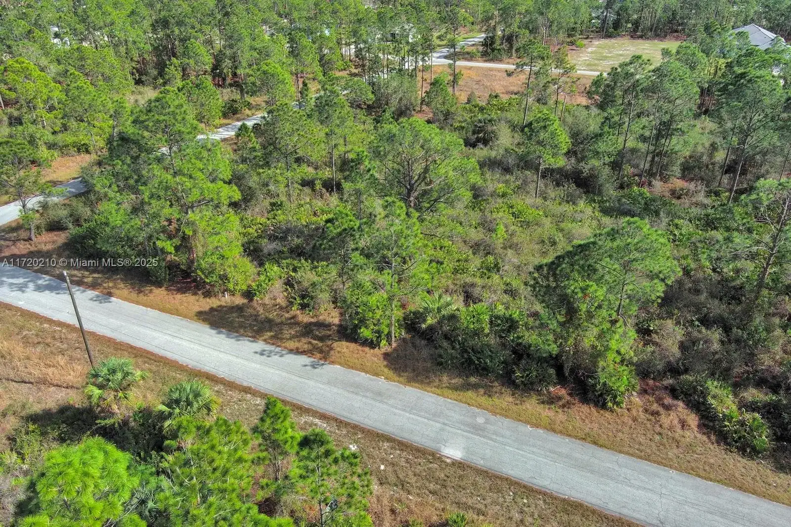 1020 Lake Ave, Lehigh Acres FL 33972 photo 5