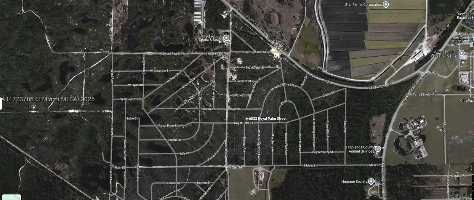 6033 Royal Palm Street, Sebring FL 33870 photo 3