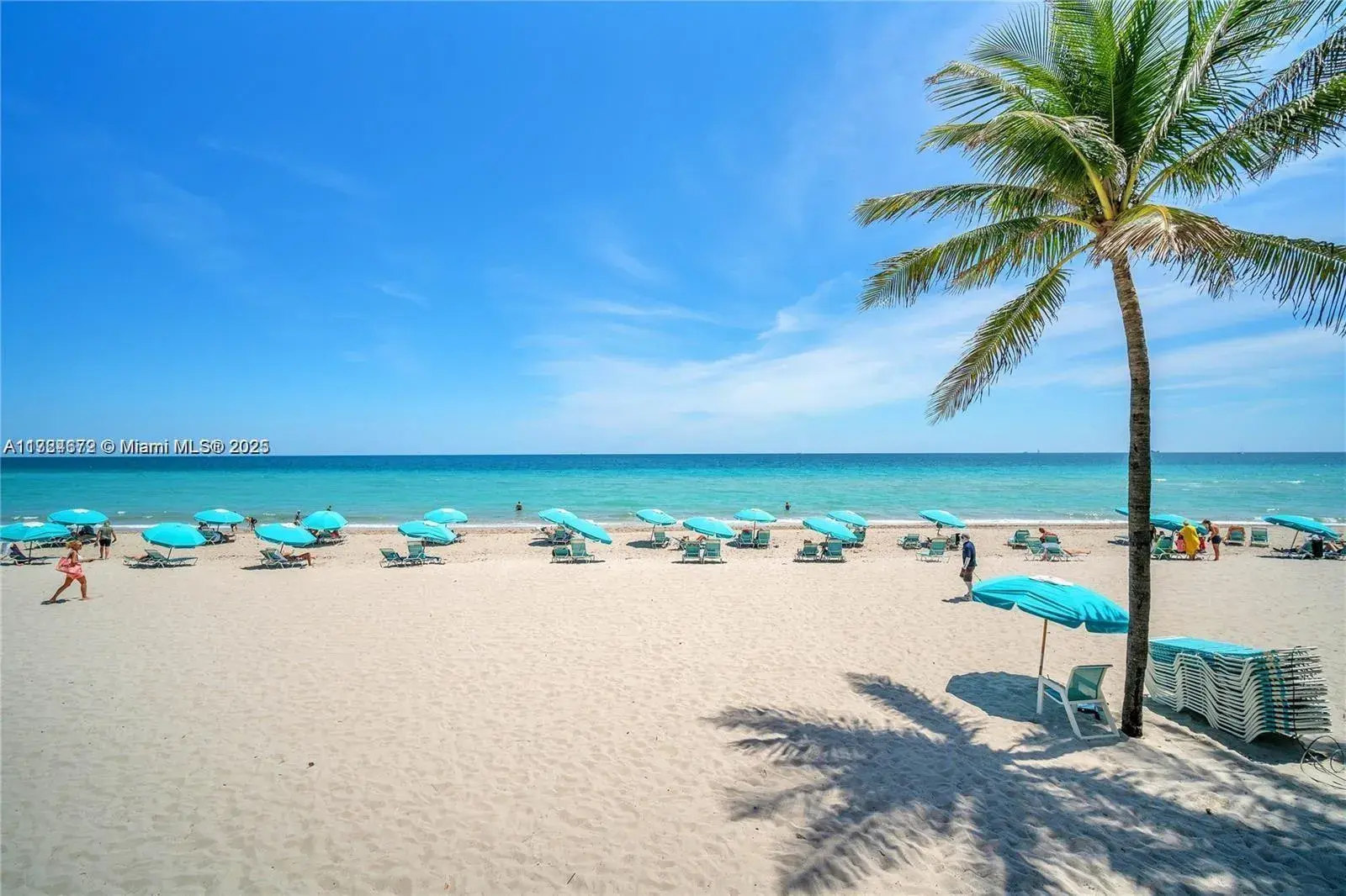 2501 S Ocean Dr, Hollywood FL 33019