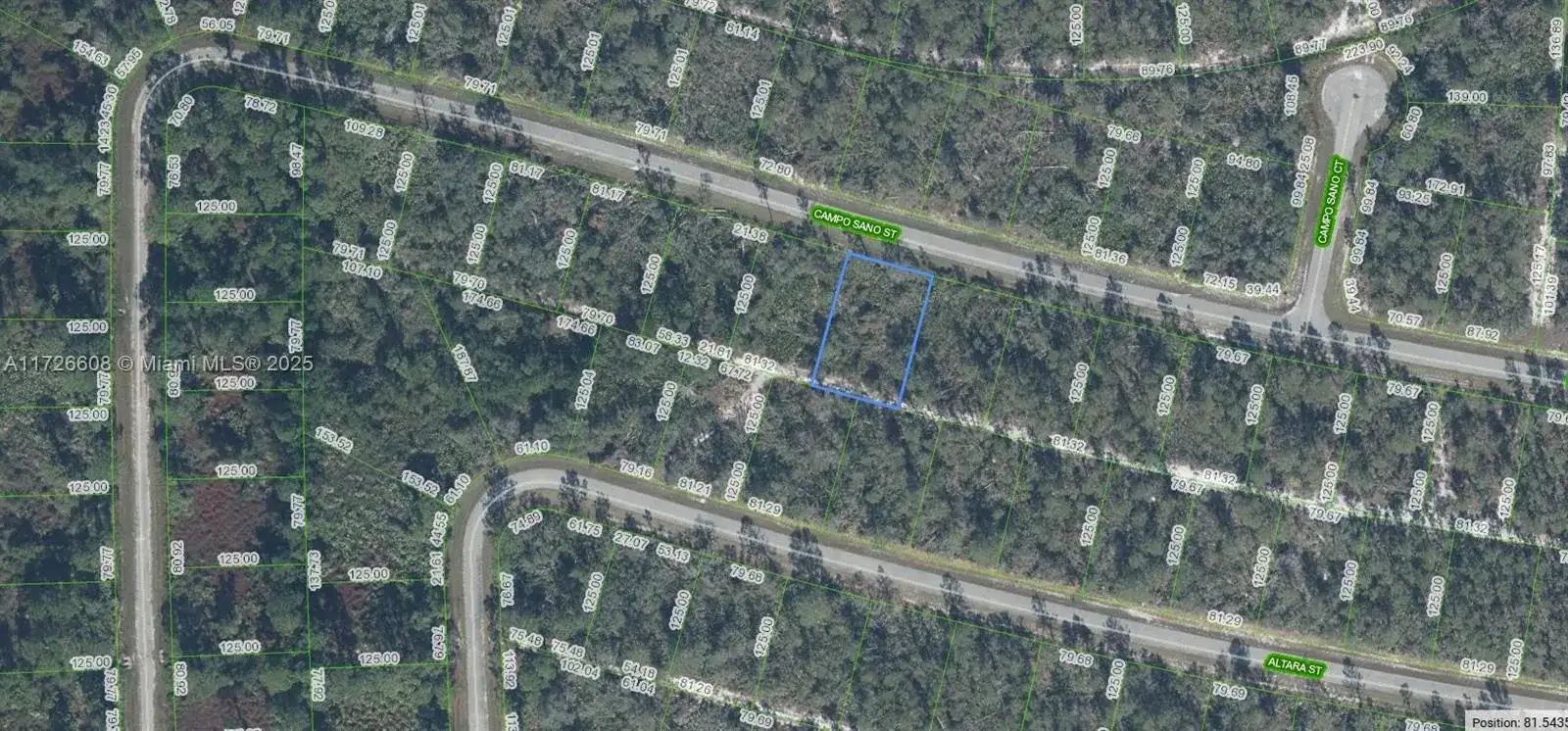 8005 Campo Sano Street, Sebring FL 33872 photo 4